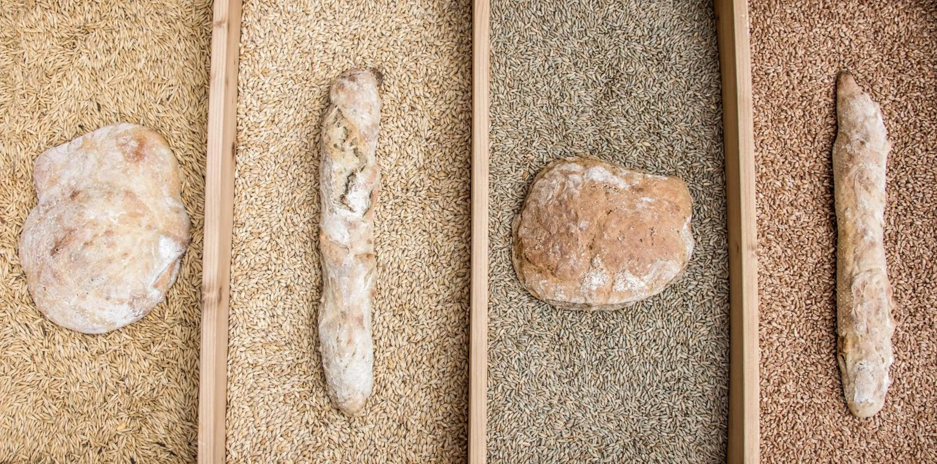 Breakfast in Hotel Edelweiss