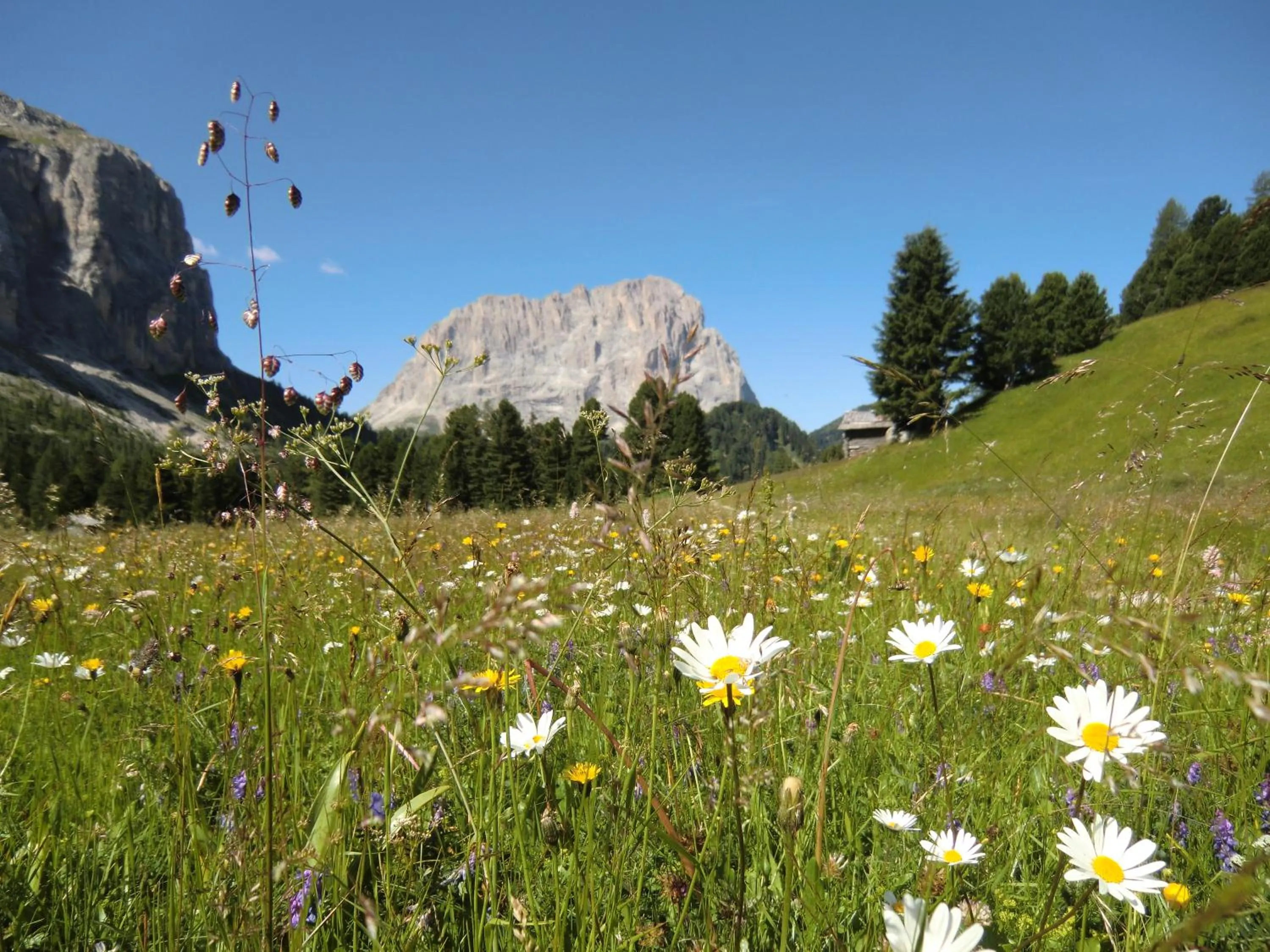 Nearby landmark in Hotel Edelweiss