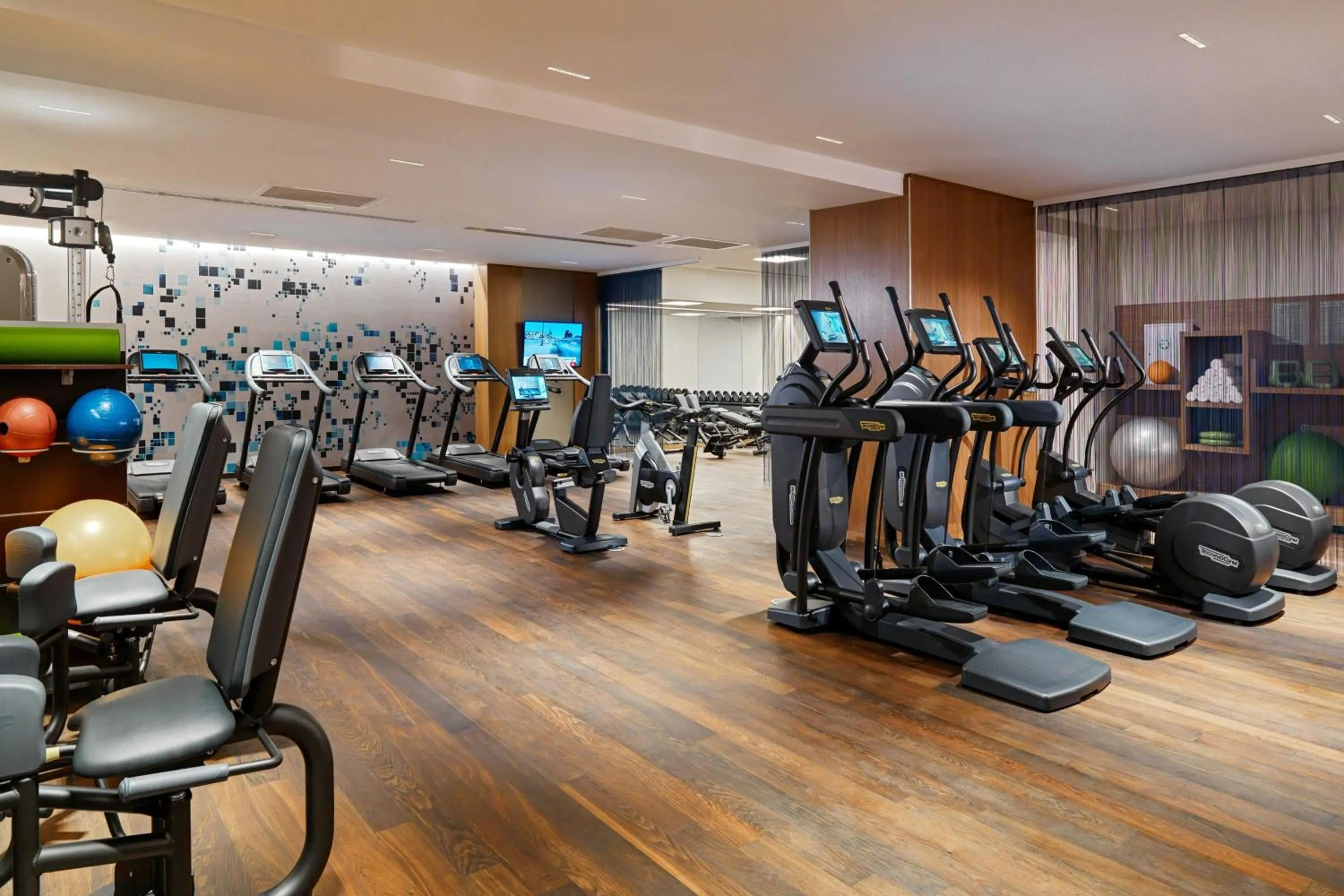 Fitness centre/facilities in Sheraton Grand Tbilisi Metechi Palace