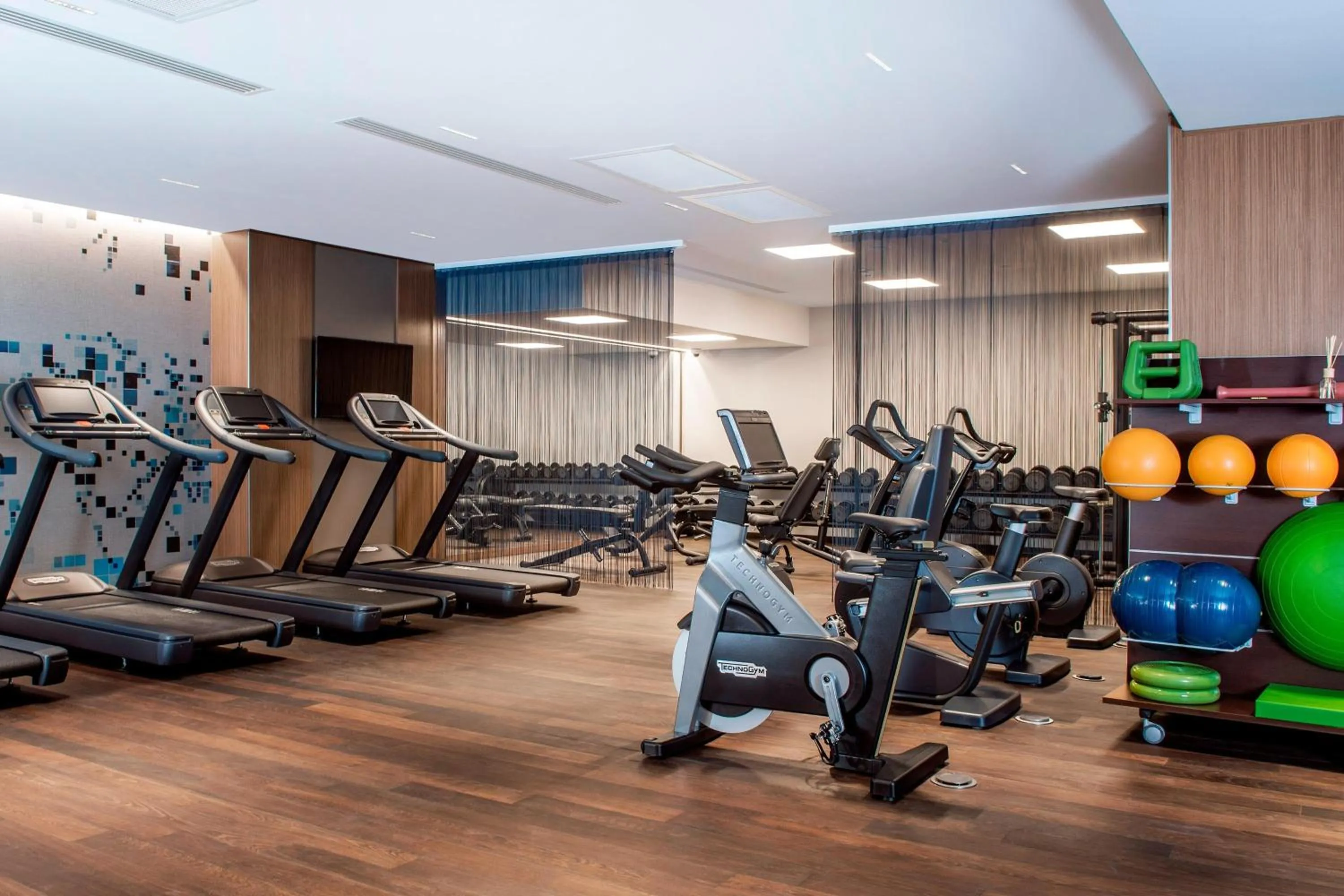 Fitness centre/facilities in Sheraton Grand Tbilisi Metechi Palace
