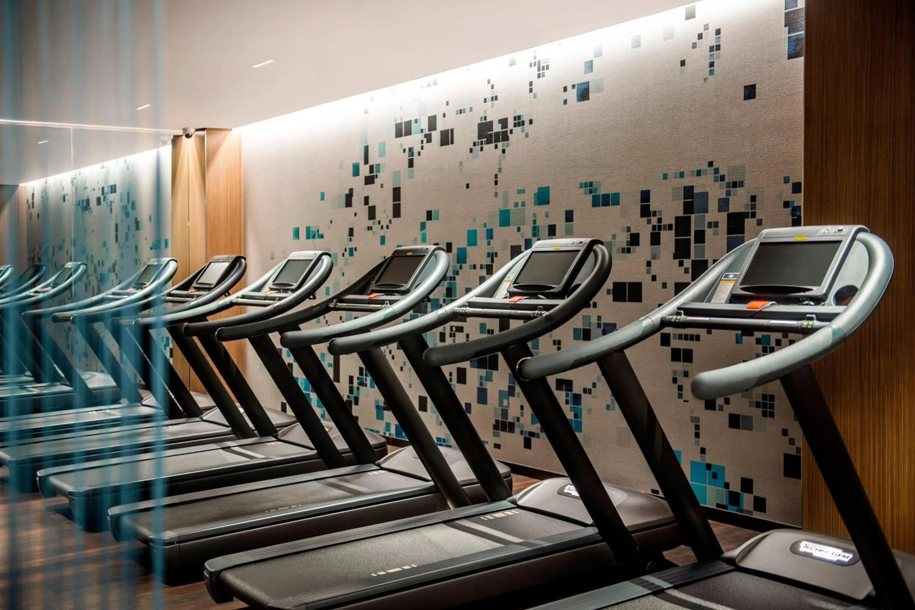 Fitness centre/facilities in Sheraton Grand Tbilisi Metechi Palace