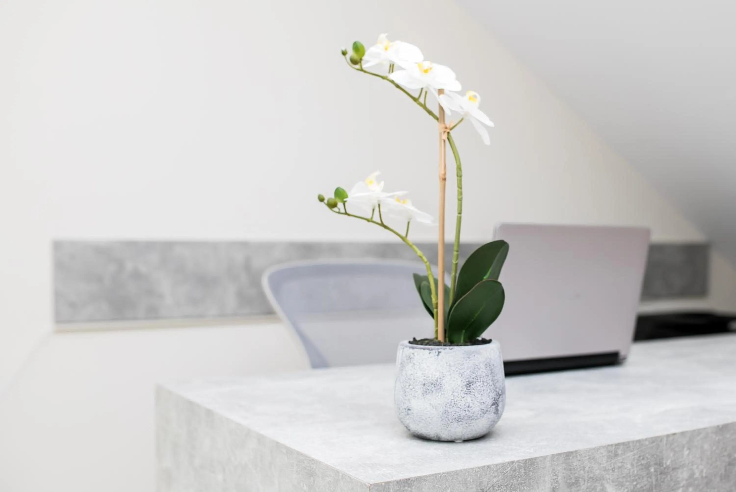 Decorative detail in Gmare