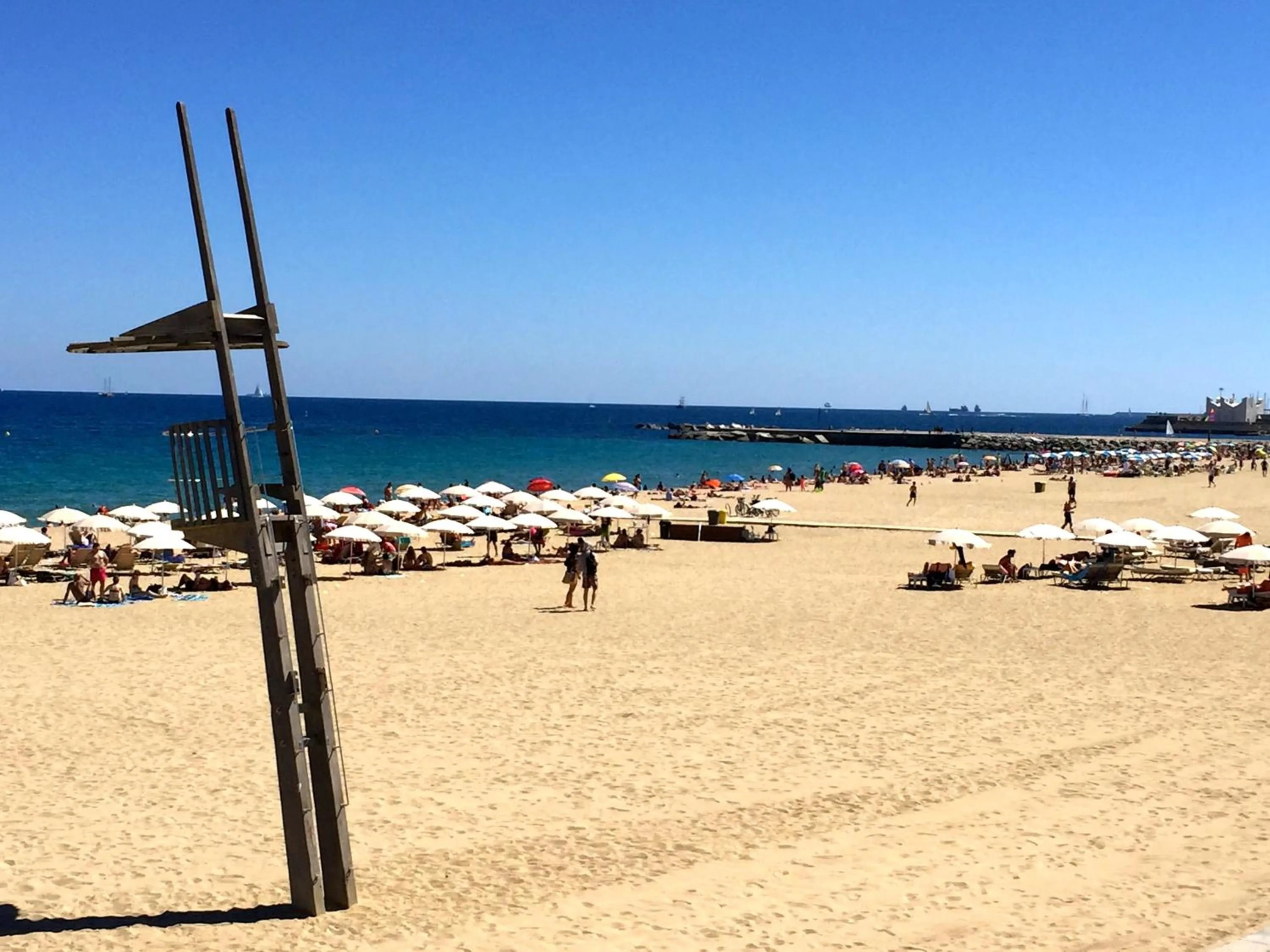 Activities in Hostal Poblenou