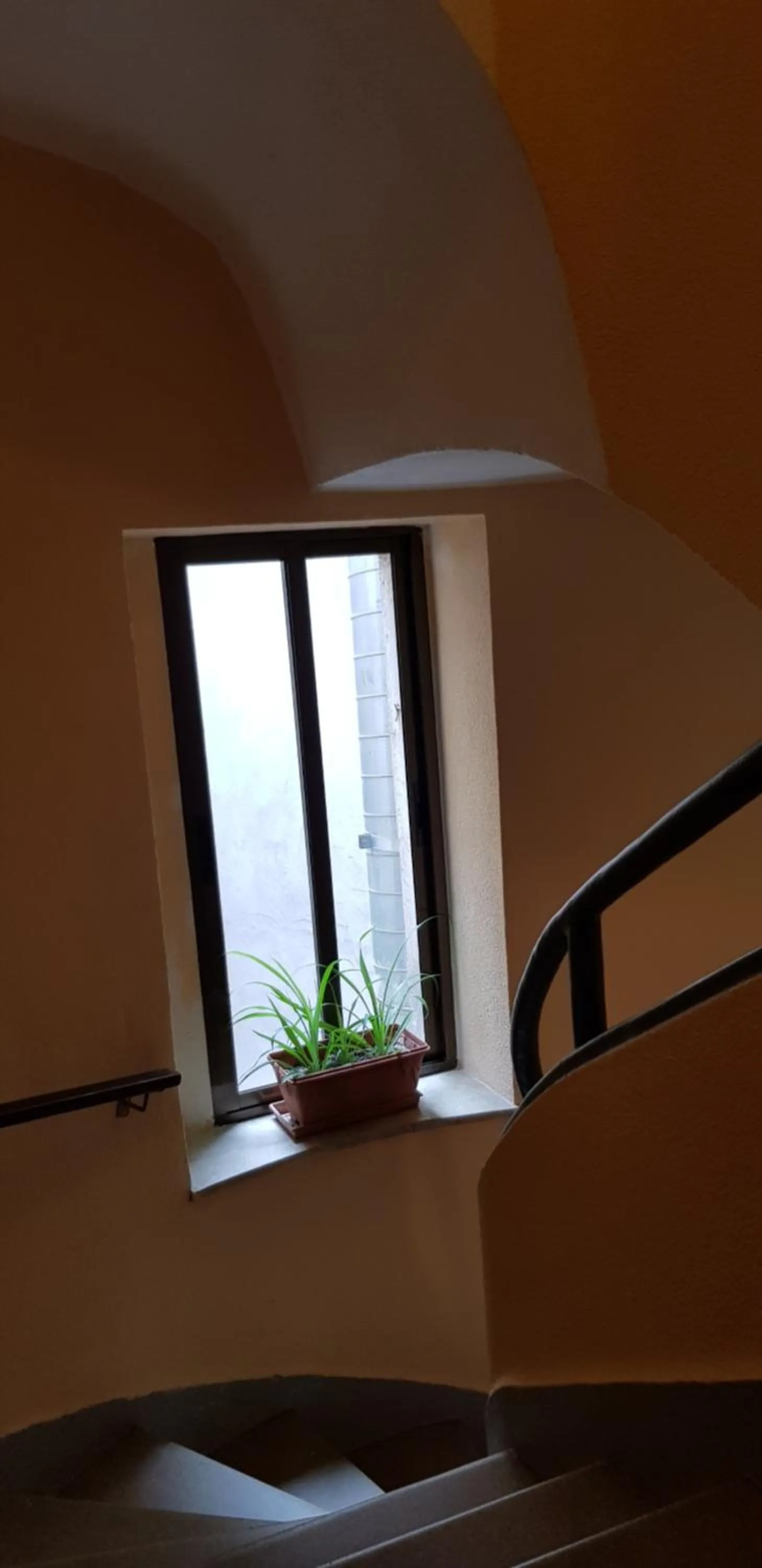 On site in Pension Salamanca