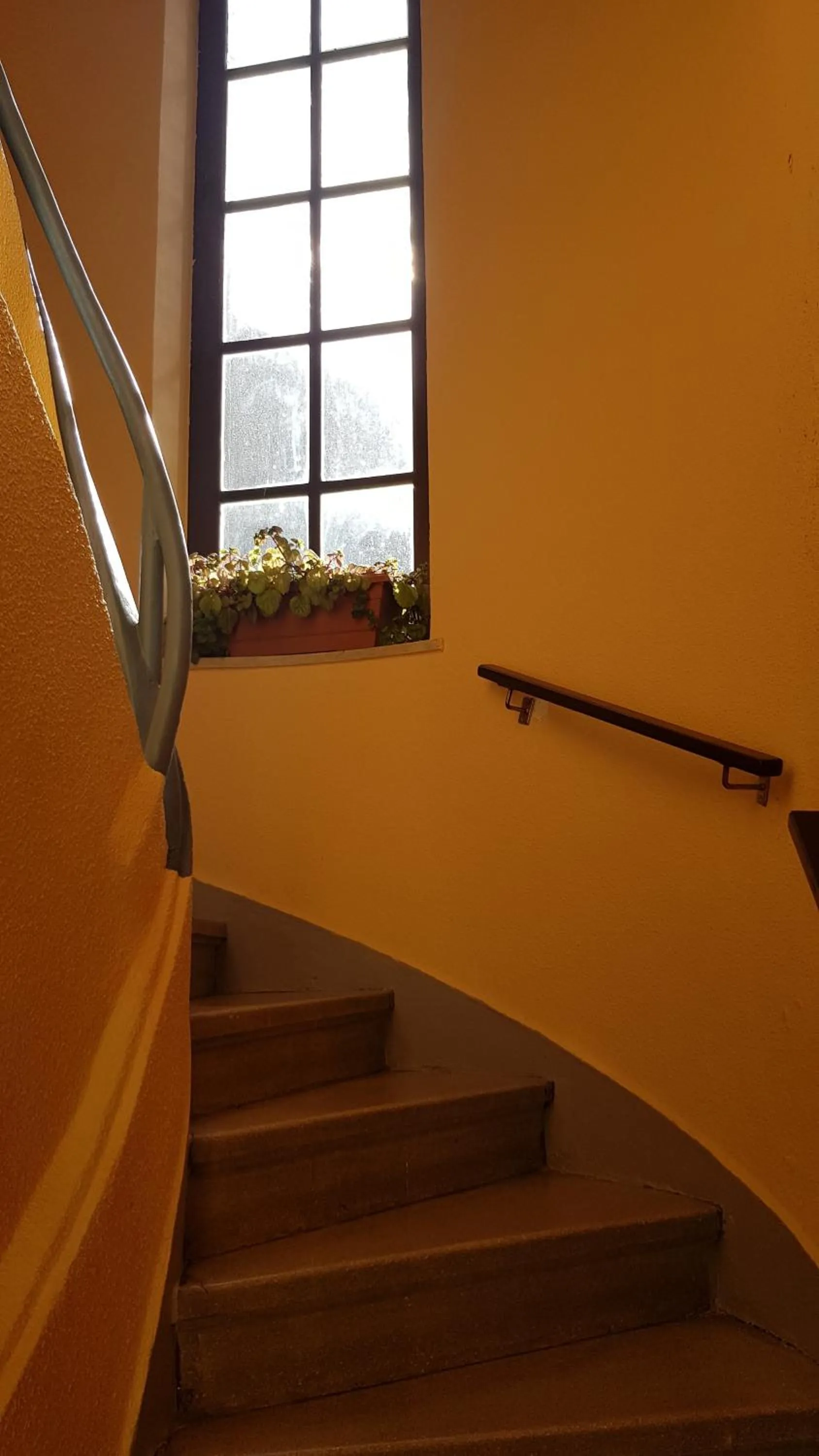 Property building in Pension Salamanca