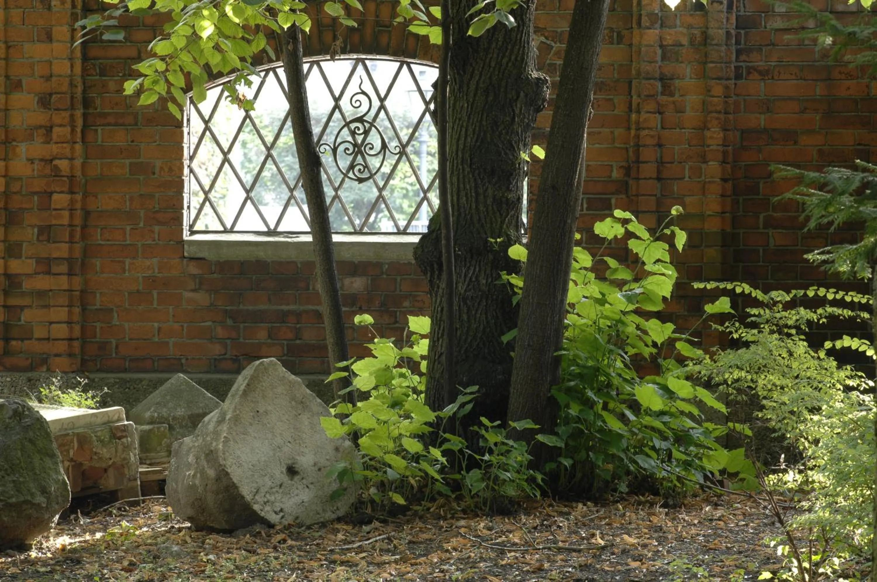 Facade/entrance in Hotel am alten Park