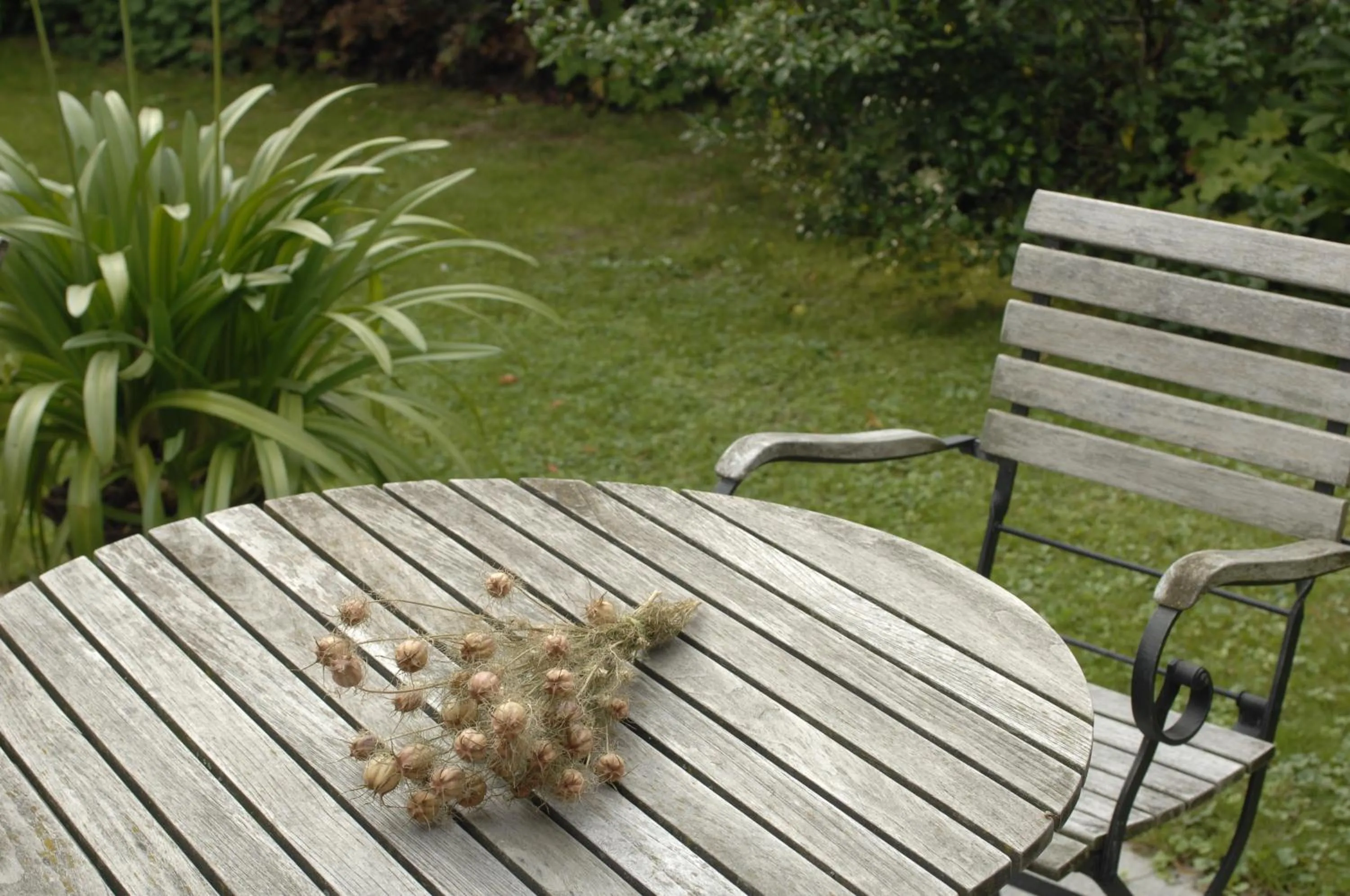 Garden in Hotel am alten Park