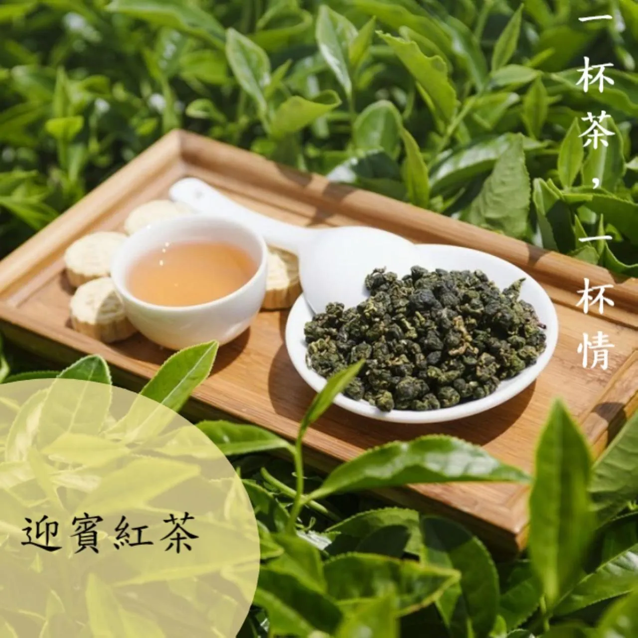 Other in Sun Moon Tea B&B