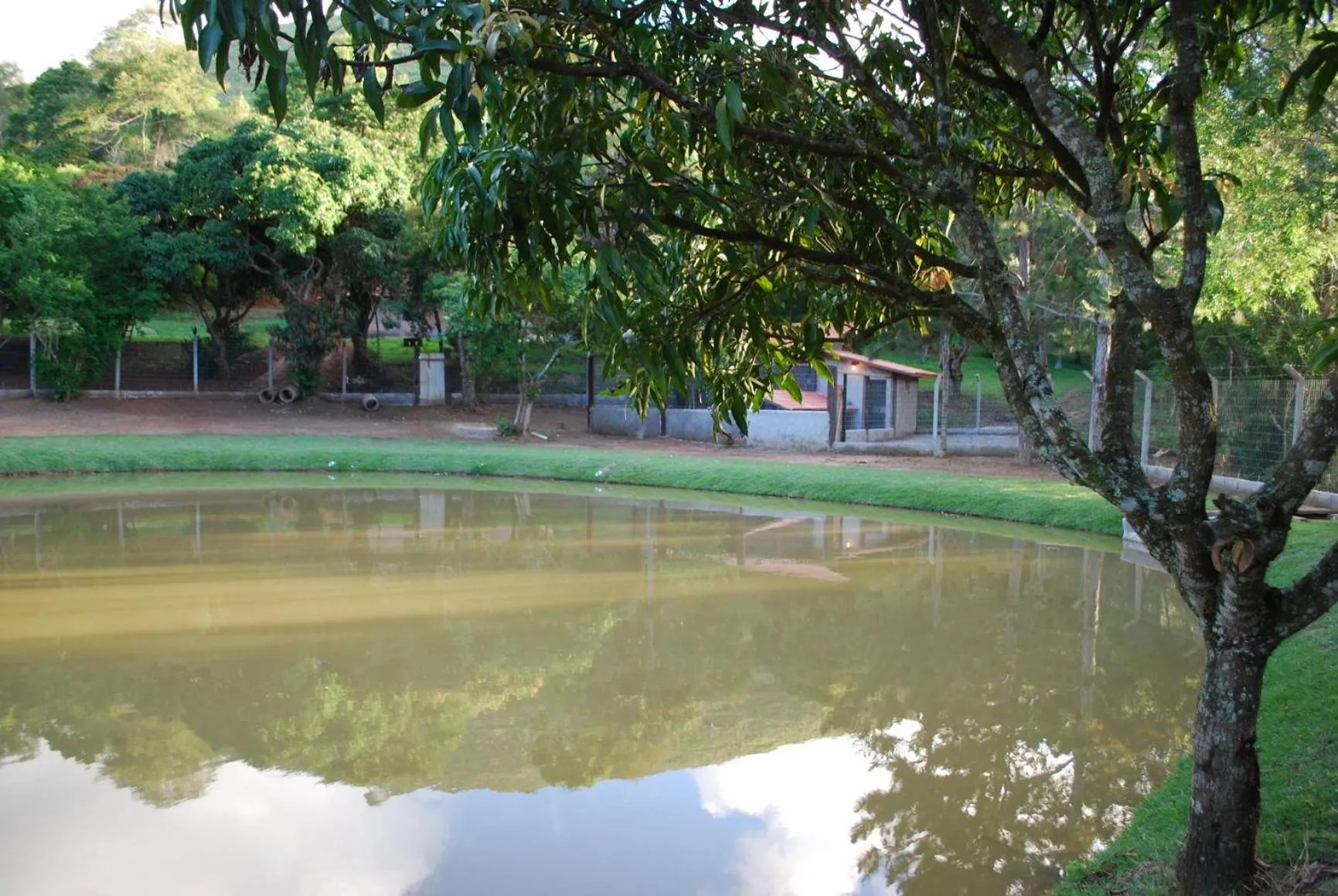 Lake view in Pousada Quinta dos Doges