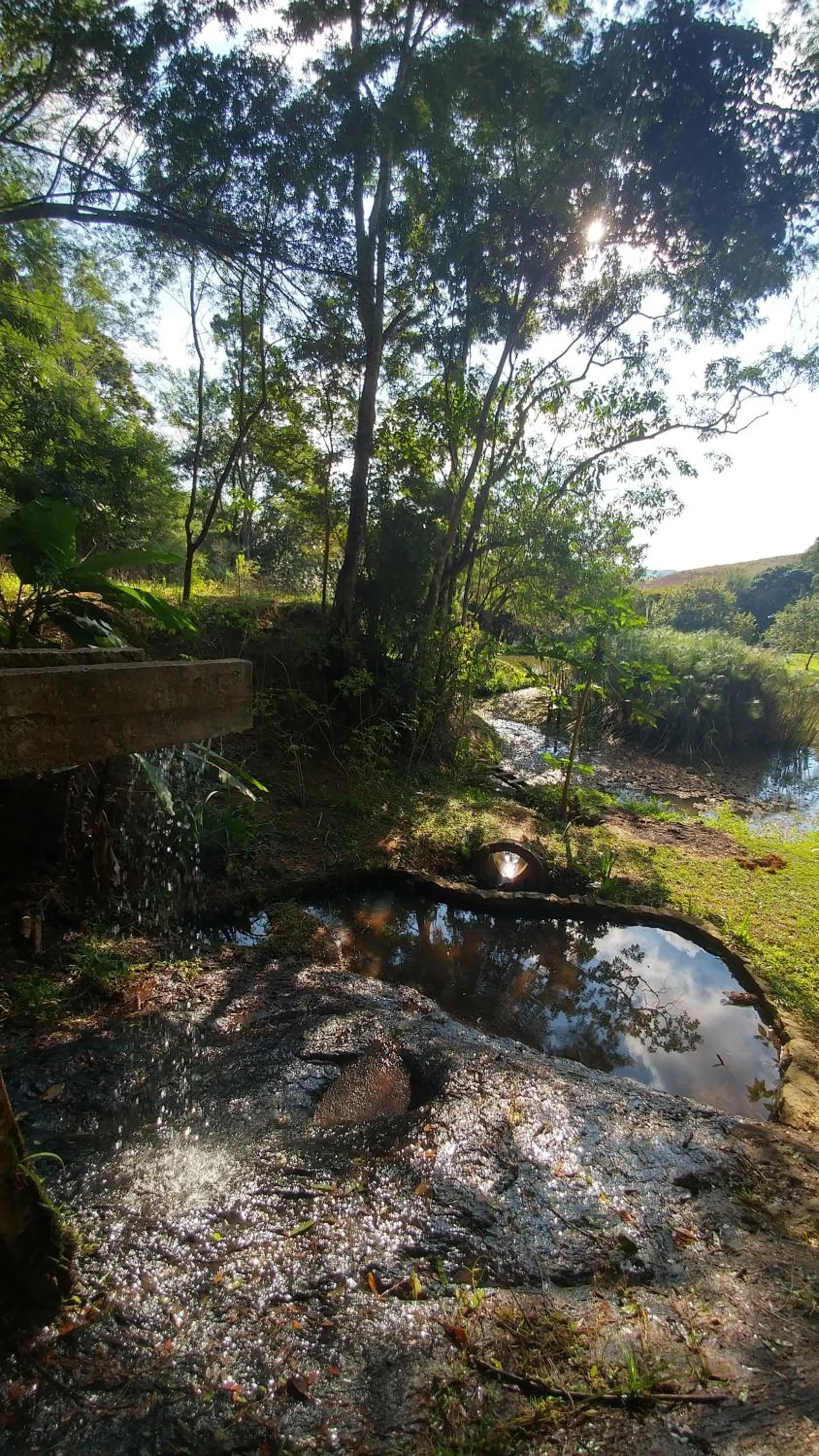 Lake view in Pousada Quinta dos Doges