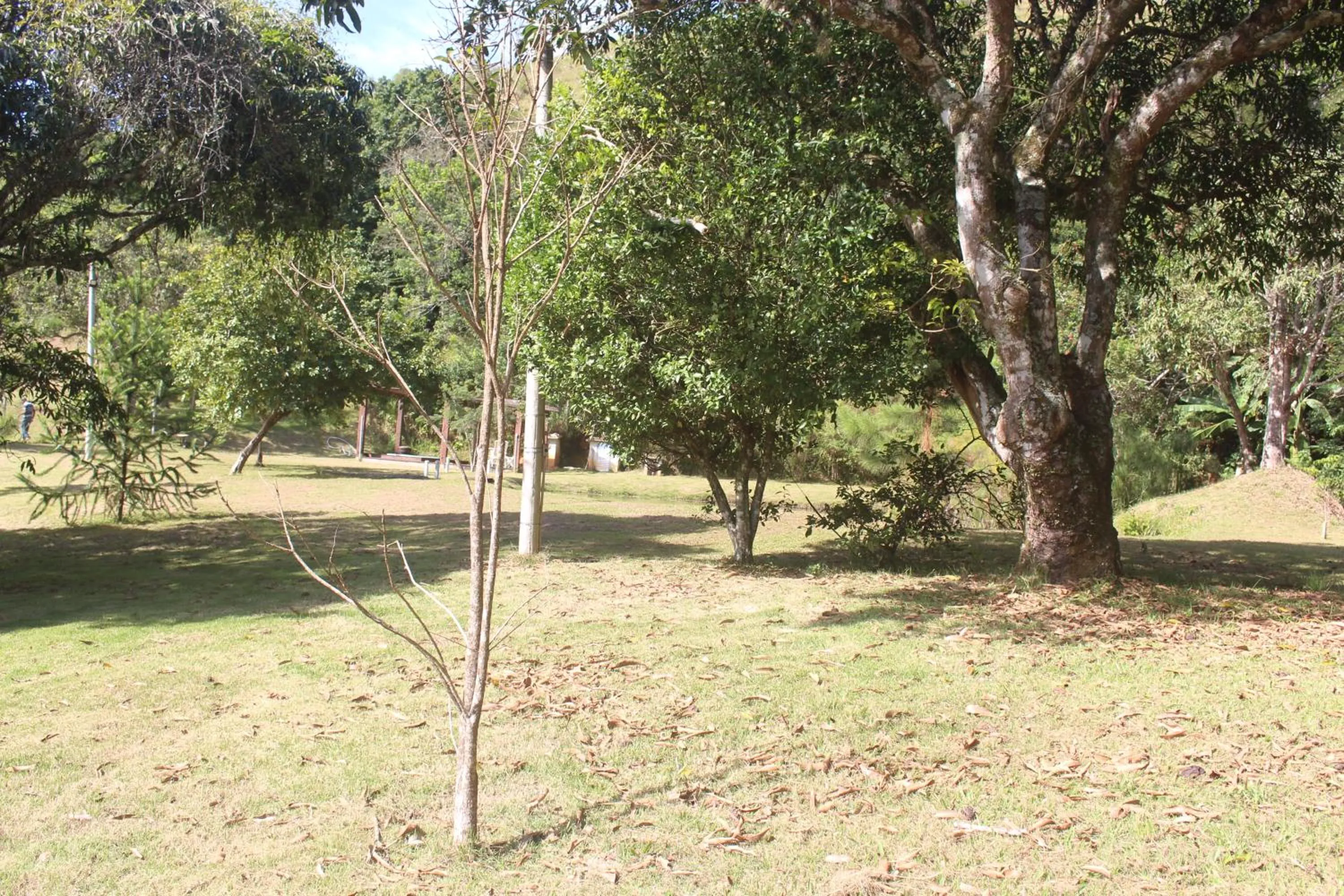 View (from property/room) in Pousada Quinta dos Doges