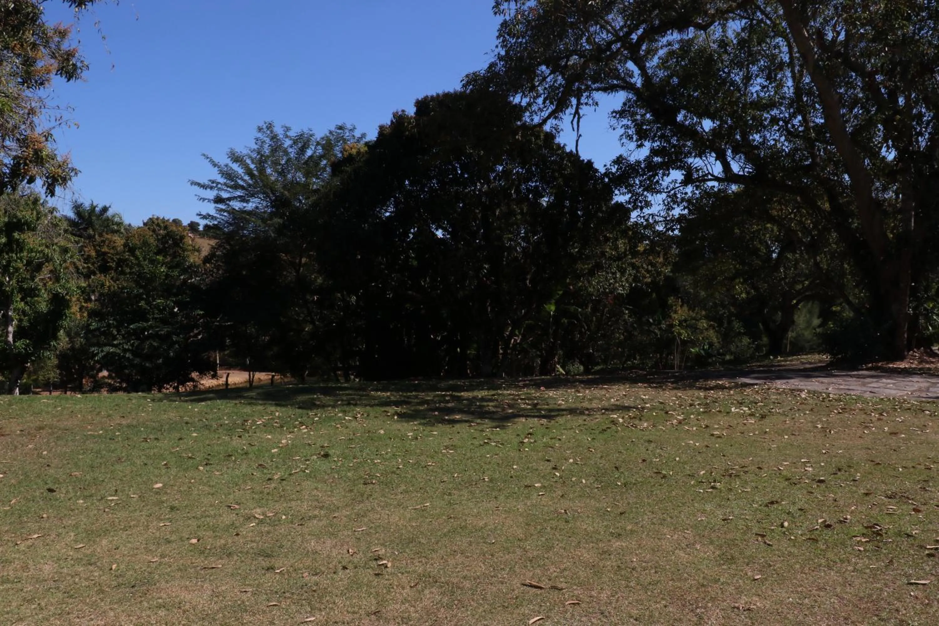 Natural landscape in Pousada Quinta dos Doges