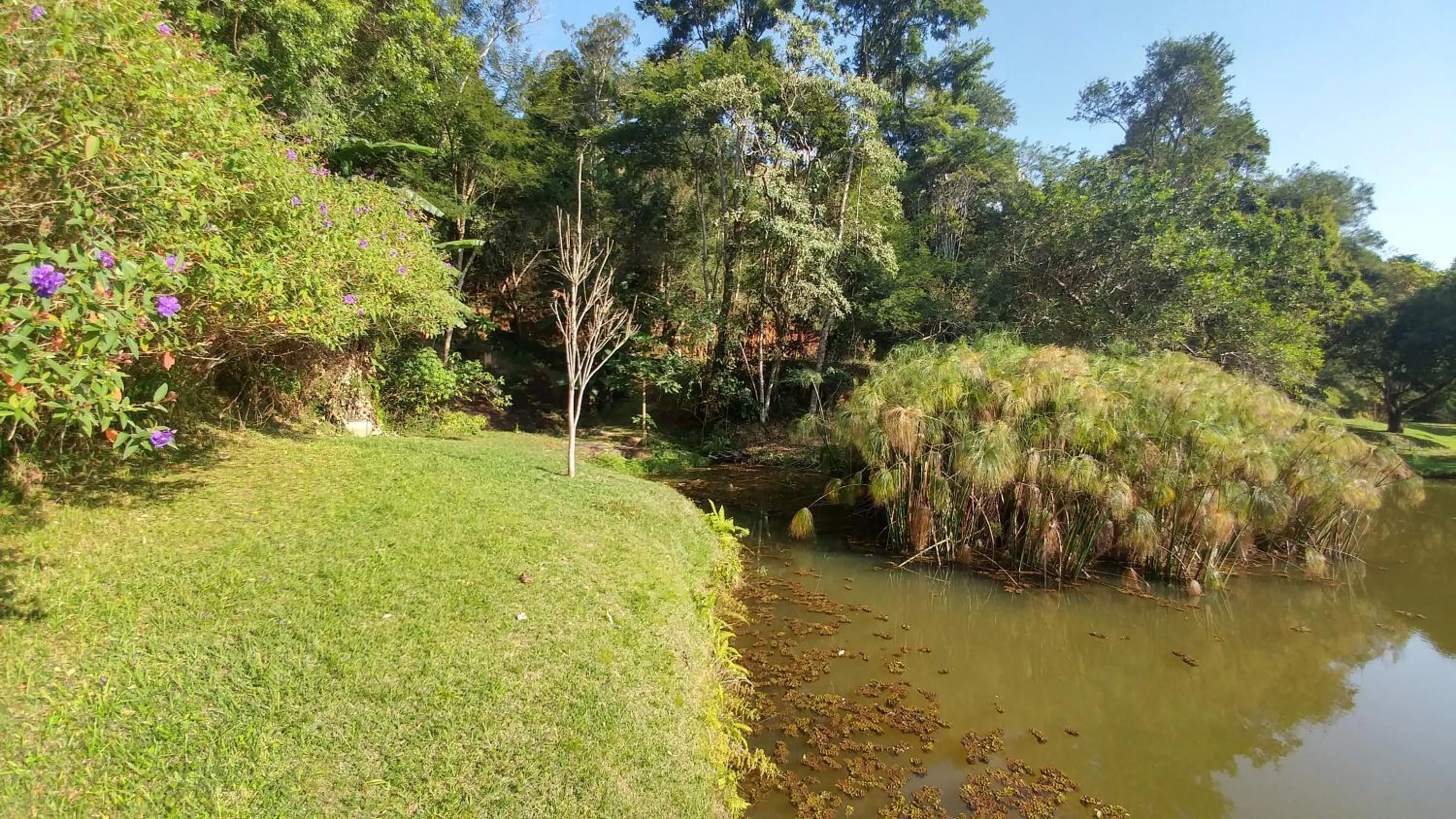 Lake view in Pousada Quinta dos Doges