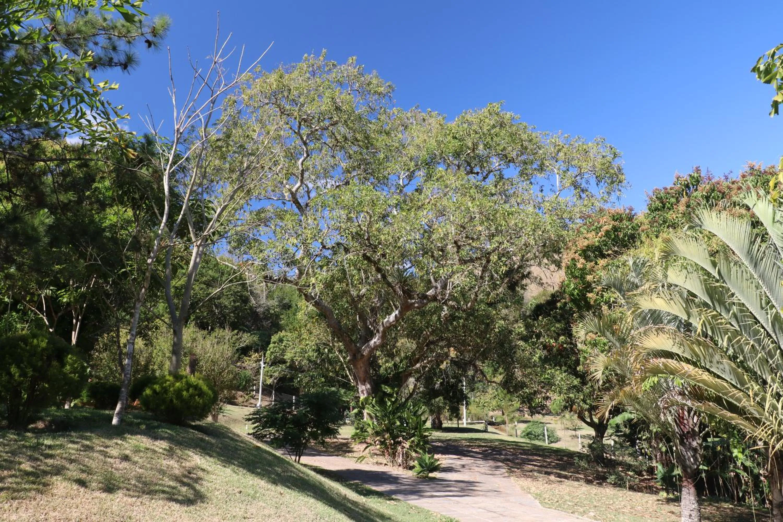Natural landscape in Pousada Quinta dos Doges