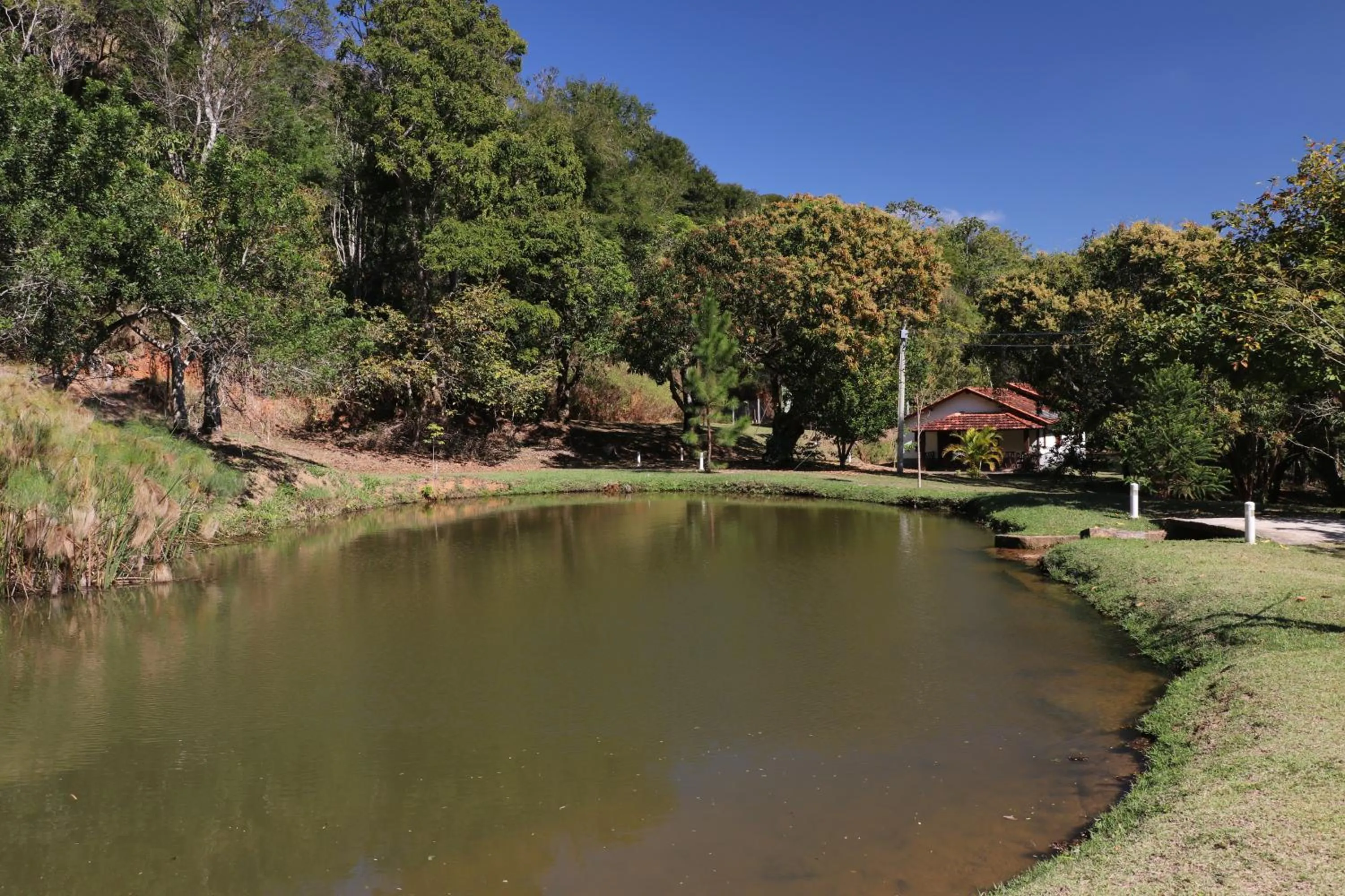 Lake view in Pousada Quinta dos Doges