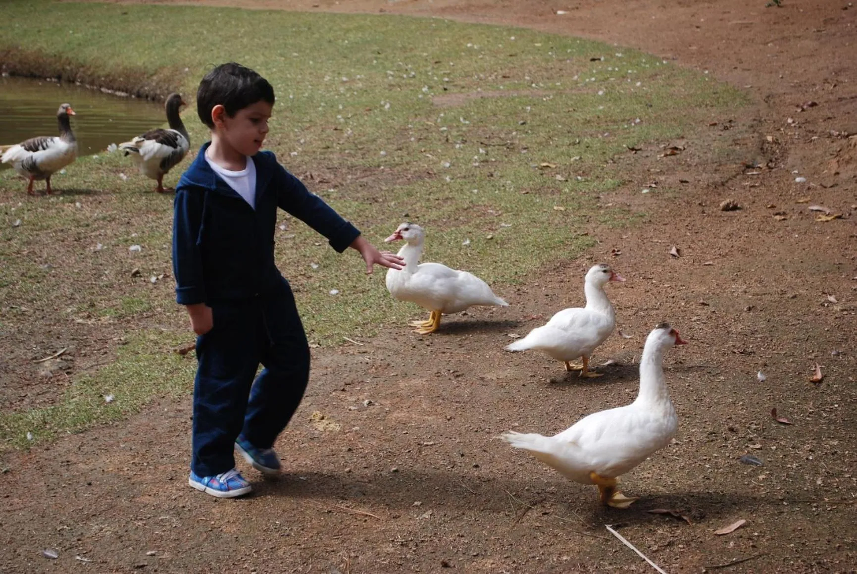 older children in Pousada Quinta dos Doges