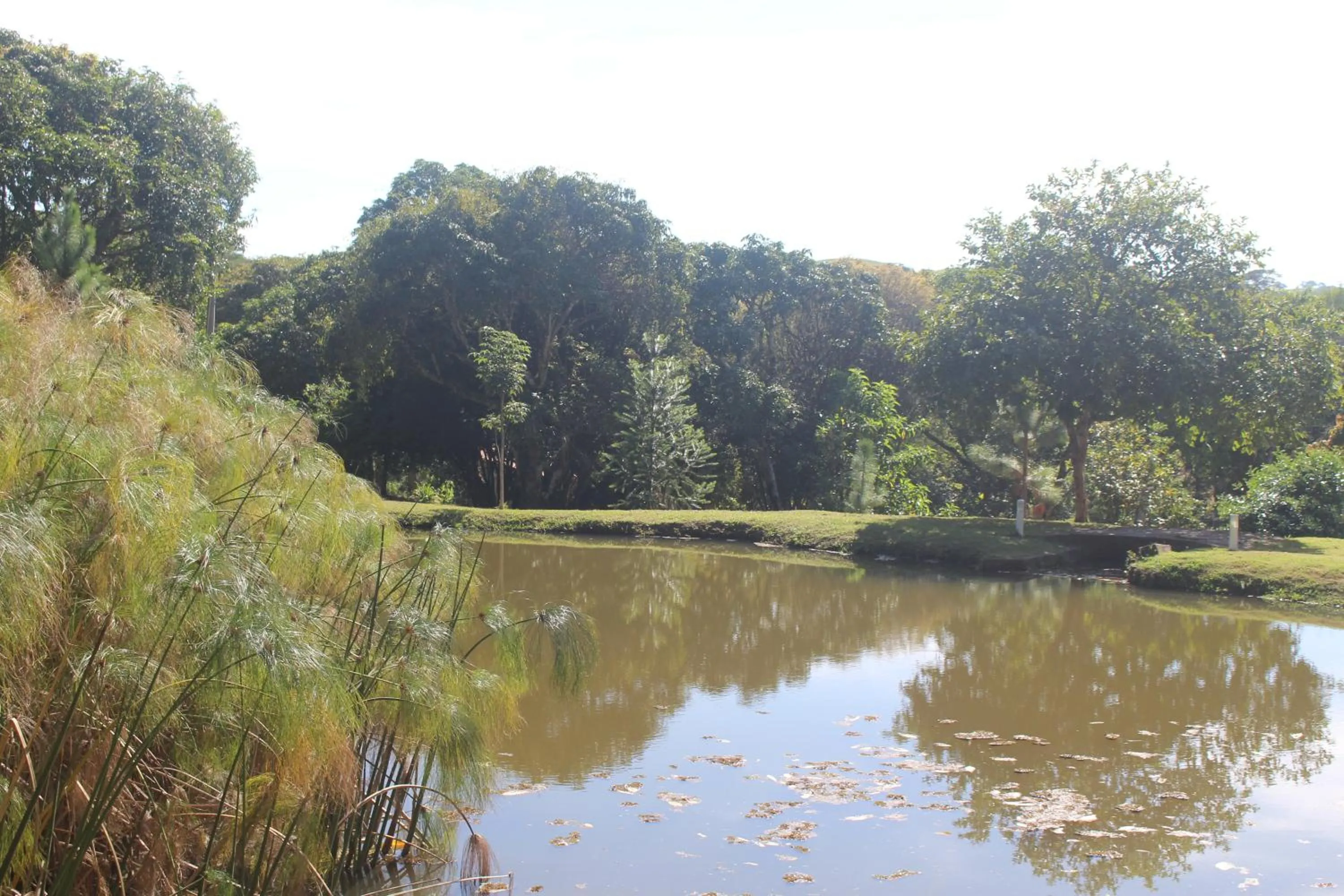 Lake view in Pousada Quinta dos Doges