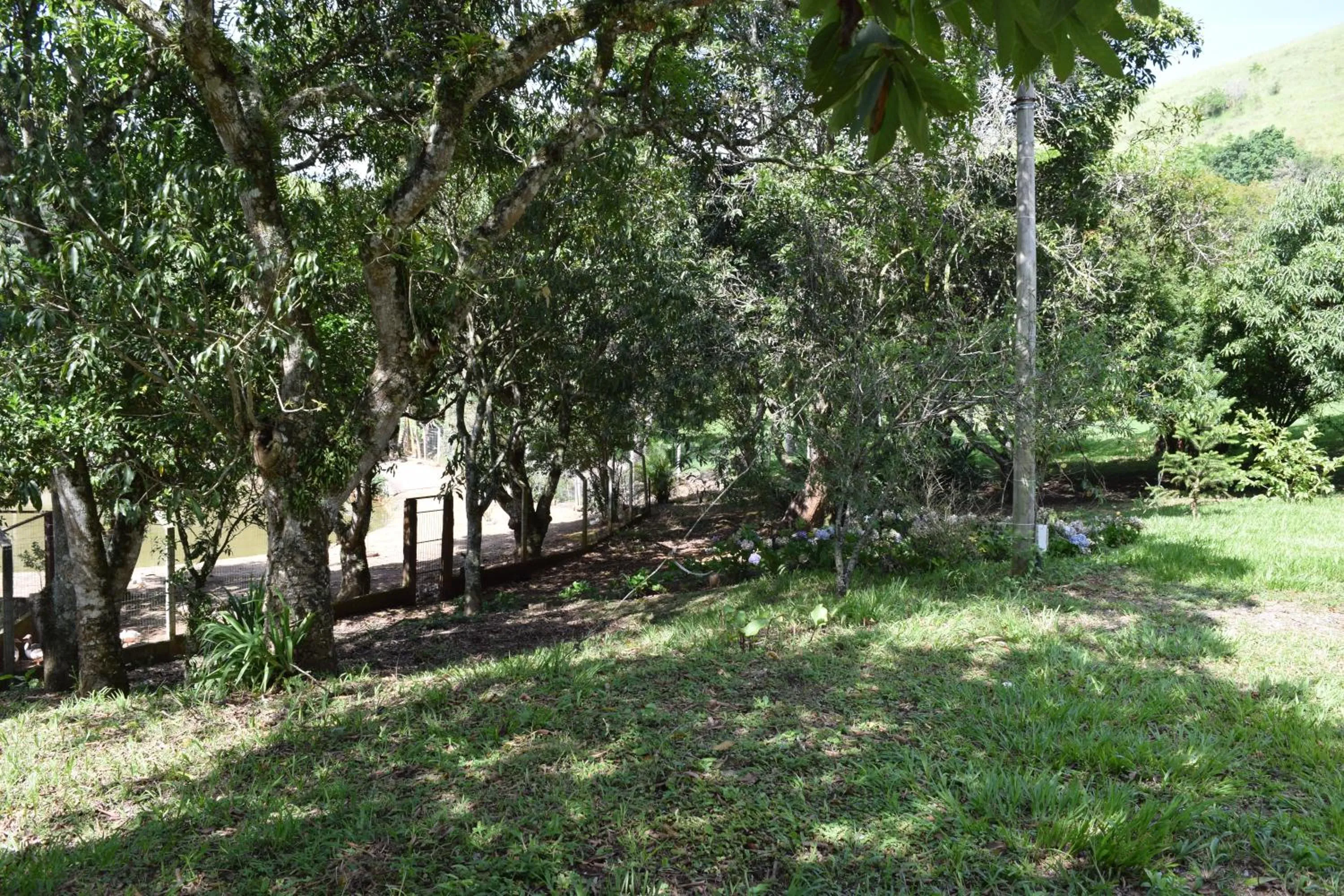 Garden in Pousada Quinta dos Doges