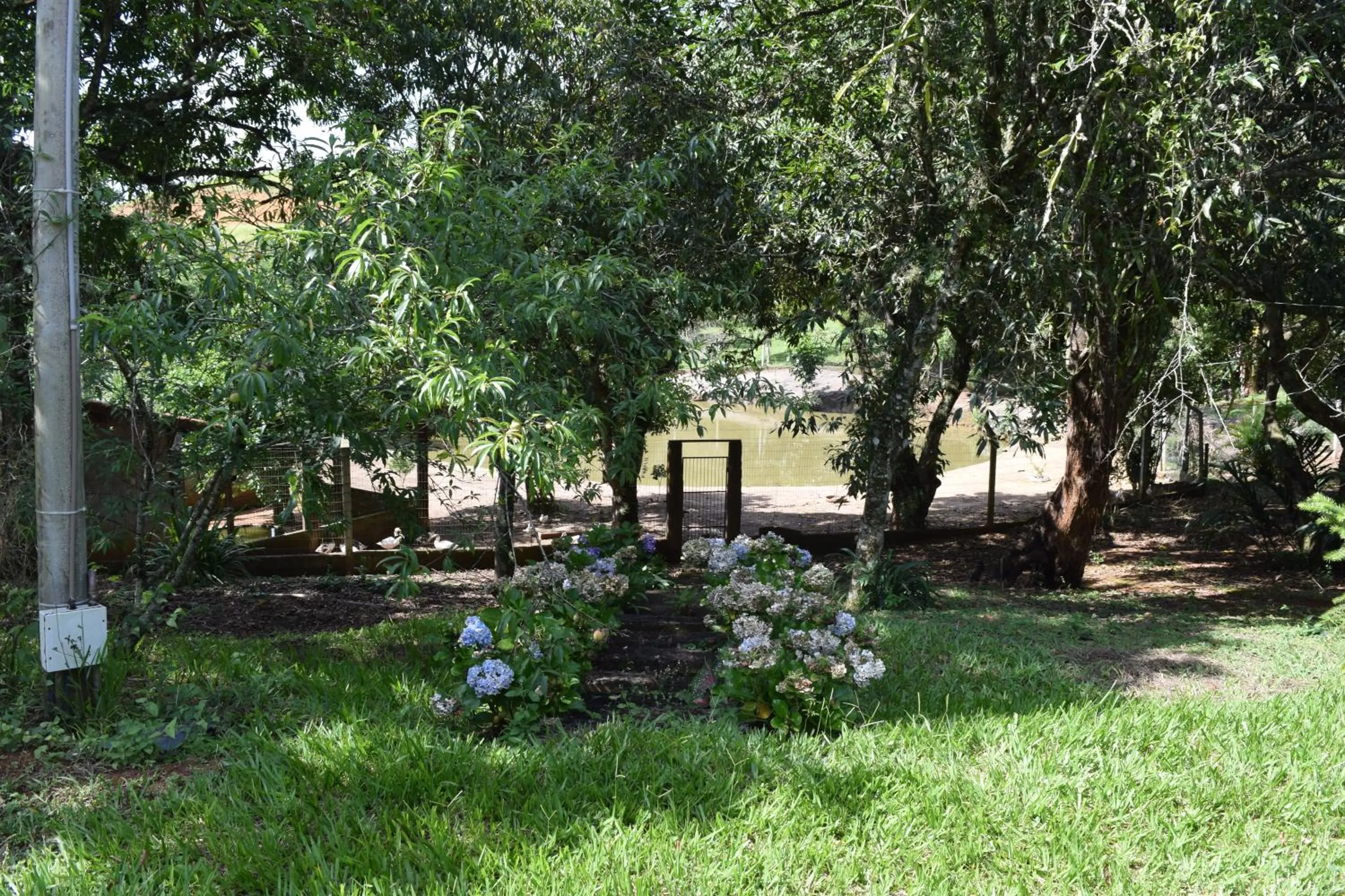 Garden in Pousada Quinta dos Doges