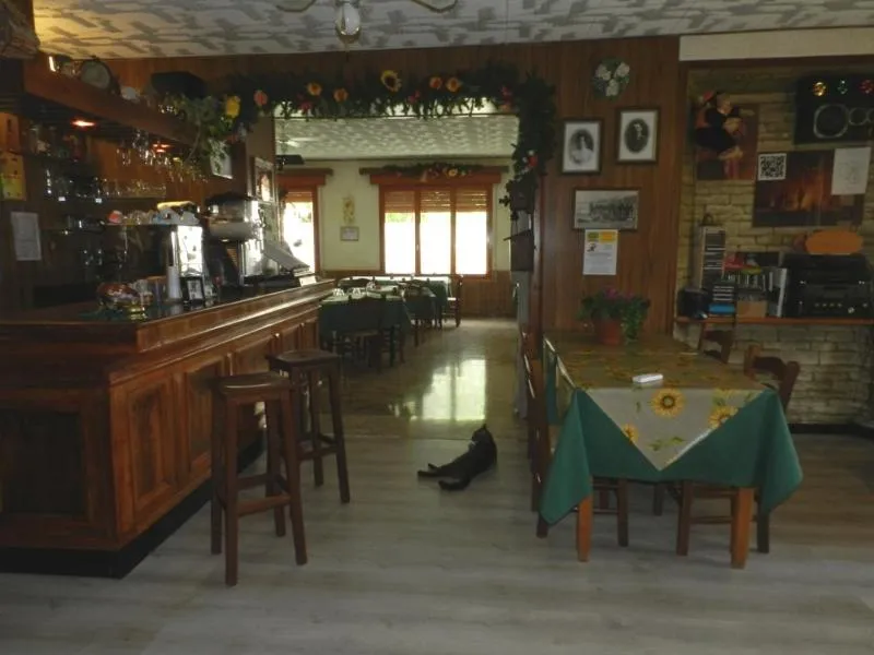 Lounge or bar in Albergo Ristorante Villa Svizzera