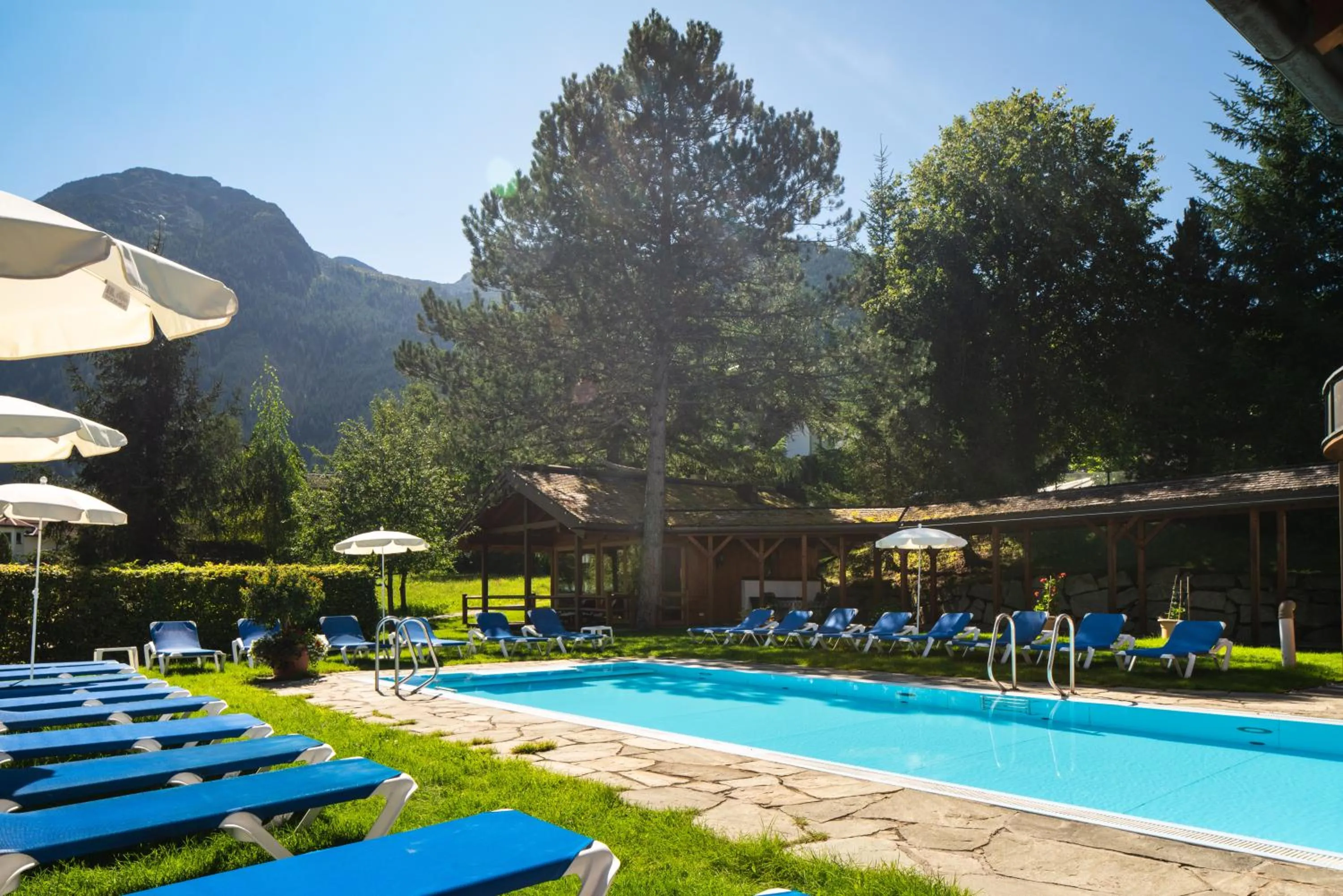 Swimming pool in Hotel Krimmlerfälle