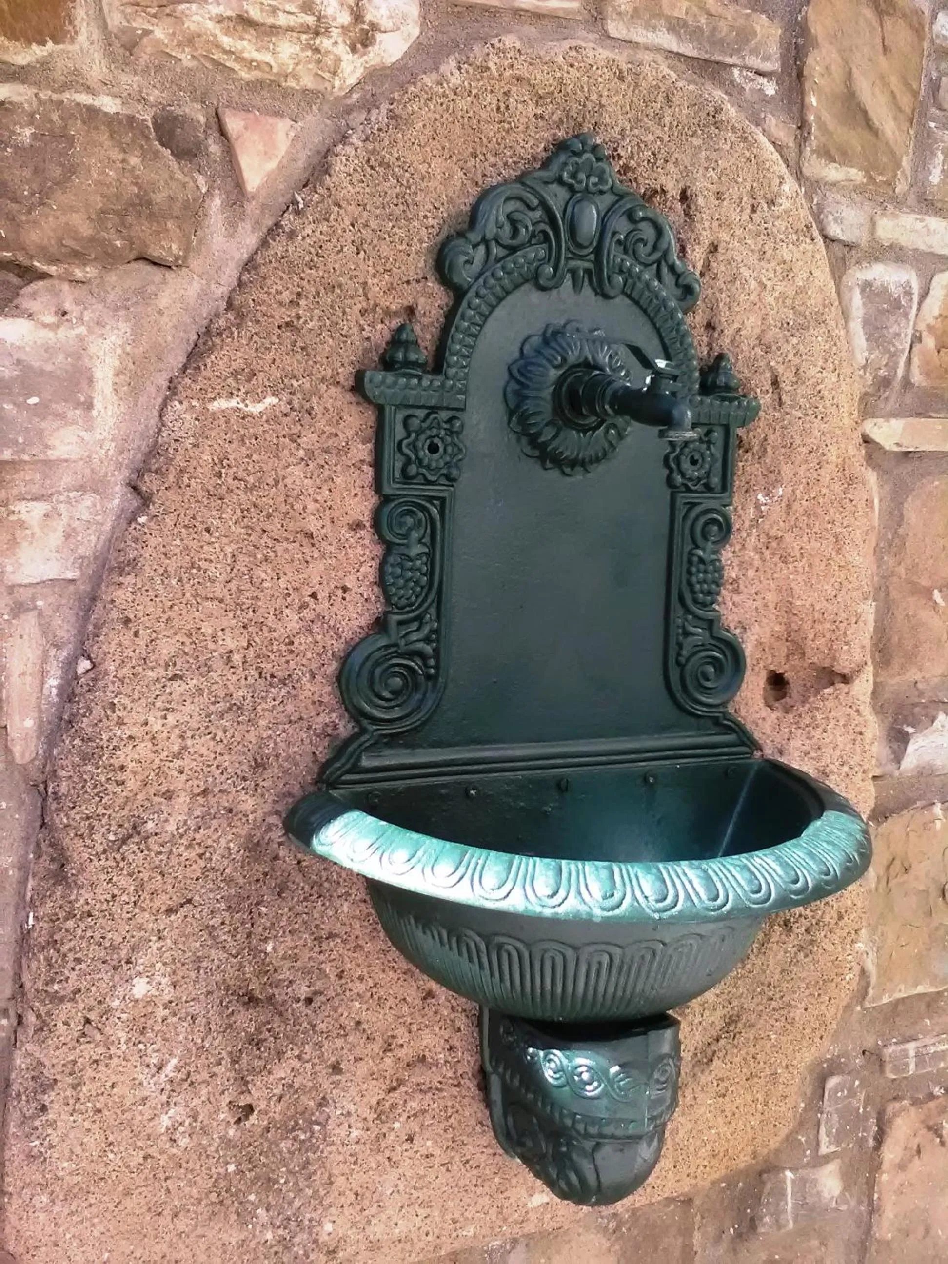 Garden in B&B Aurora's House