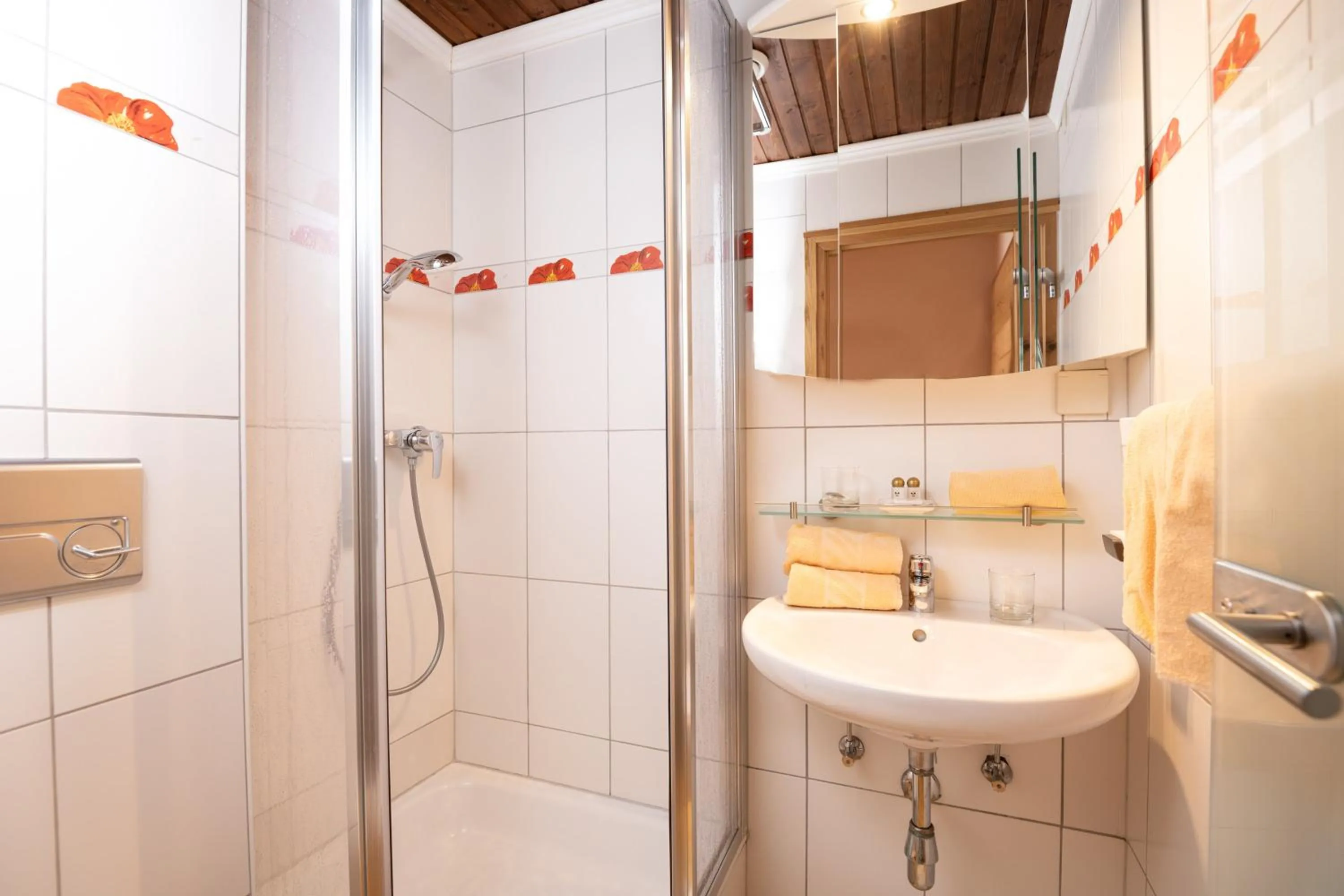 Shower in Pogöriacherhof