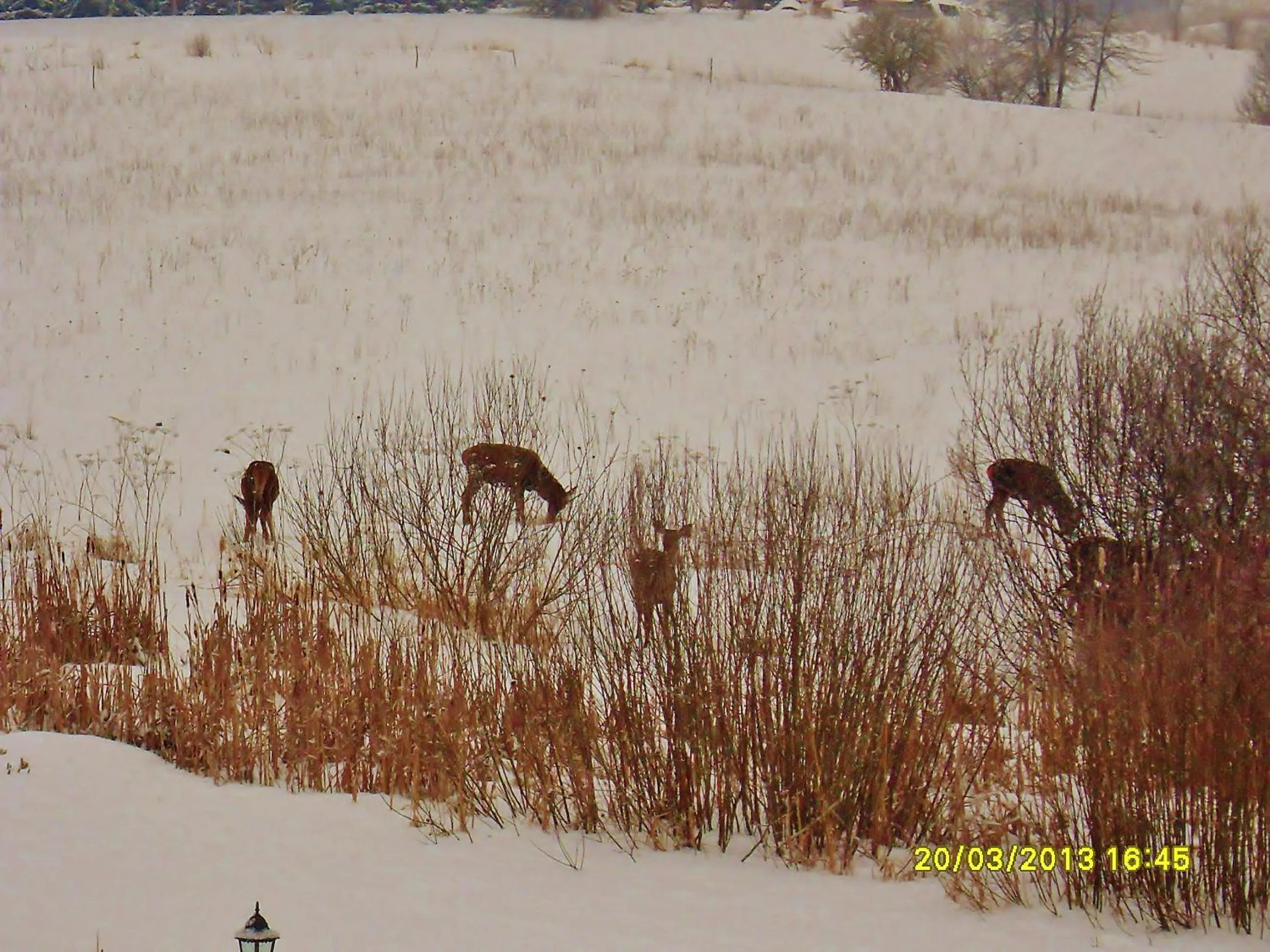 Nearby landmark in Mazurska Chata jezioro i aquapark 6 min, centrum i promenada 12 min