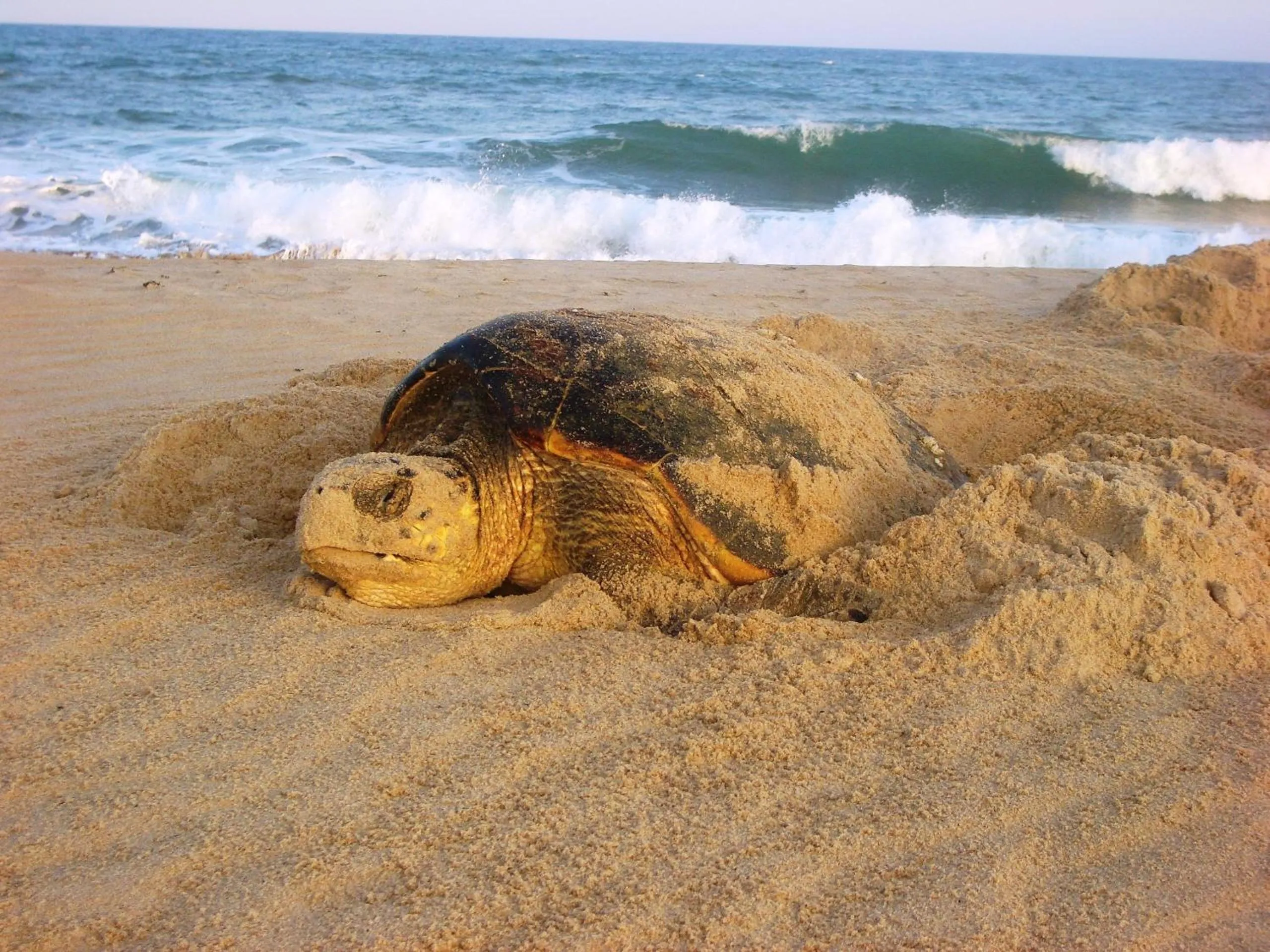 Other in Pousada Praia das Ondas - Pé na areia