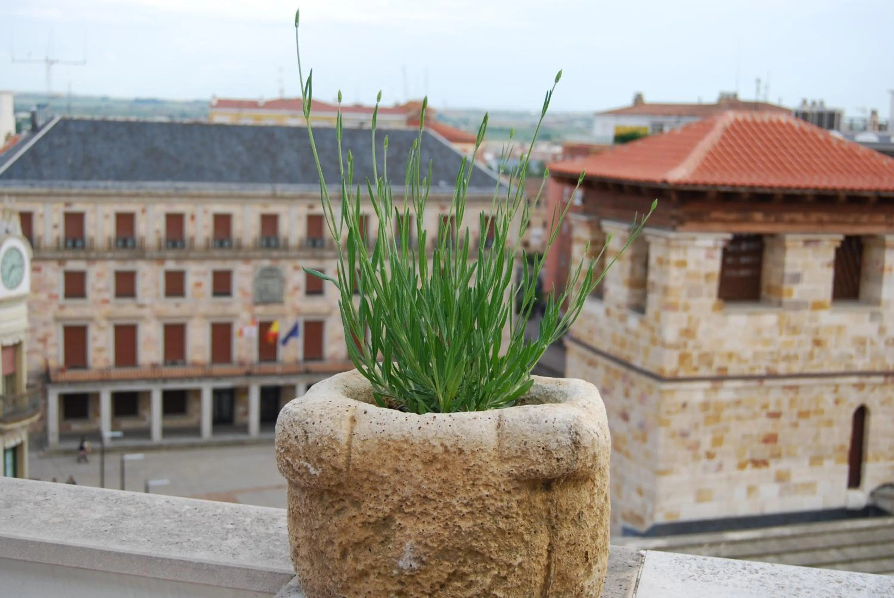 City view in El Mirador de Zamora