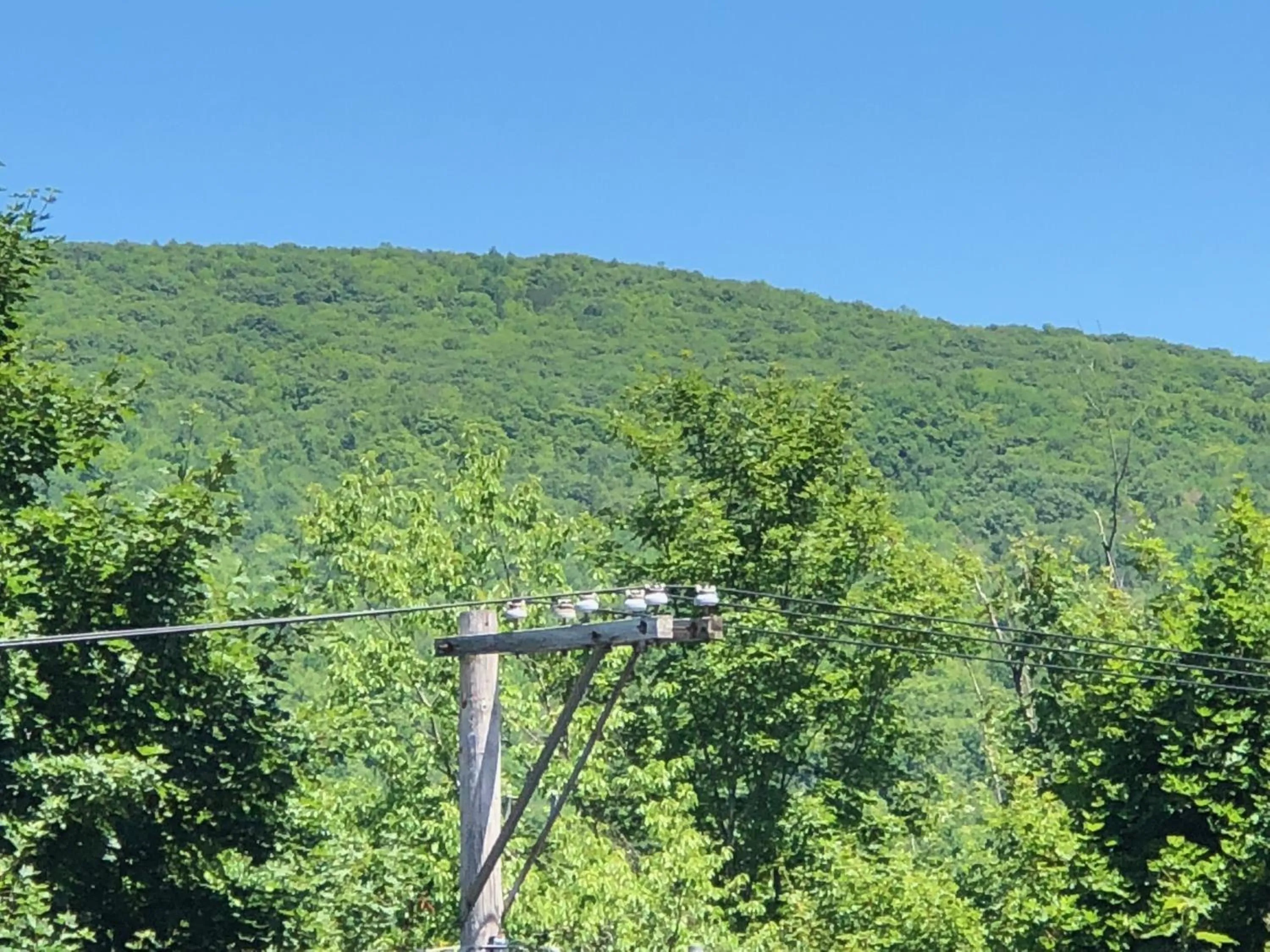 Natural landscape in Antique Rose Inn Windham