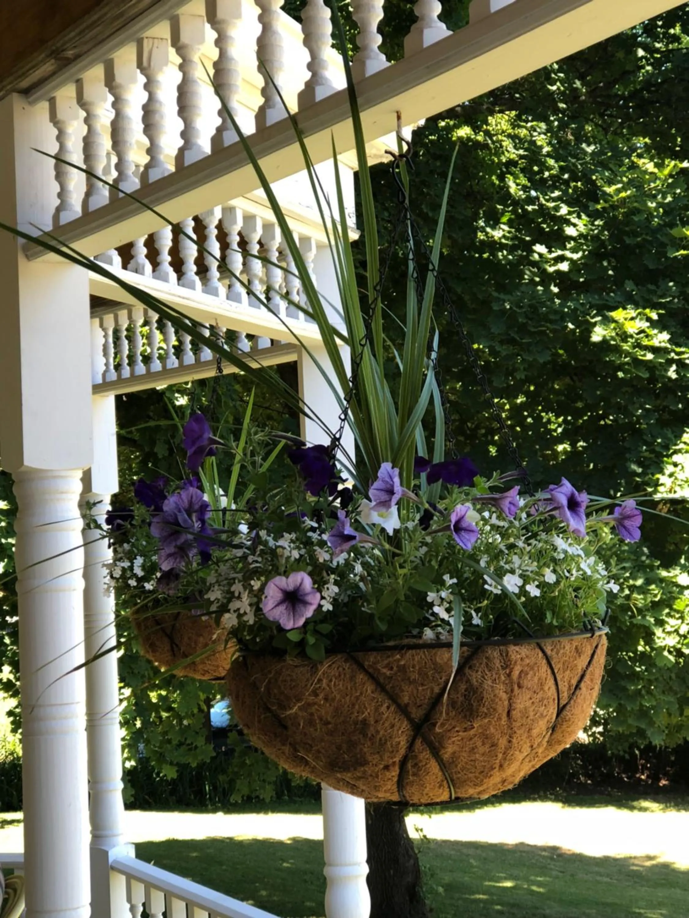 Garden in Antique Rose Inn Windham