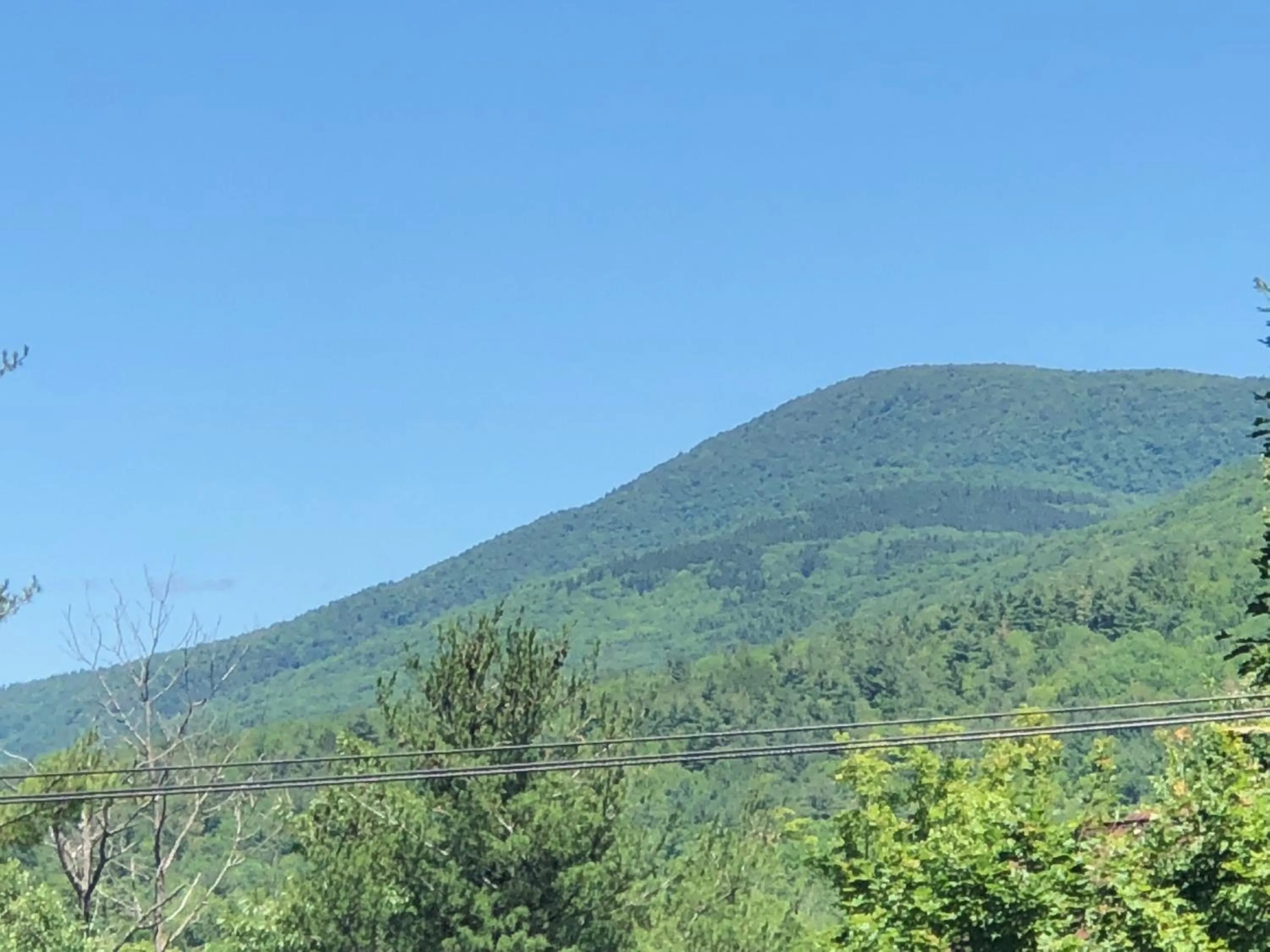 Natural landscape in Antique Rose Inn Windham