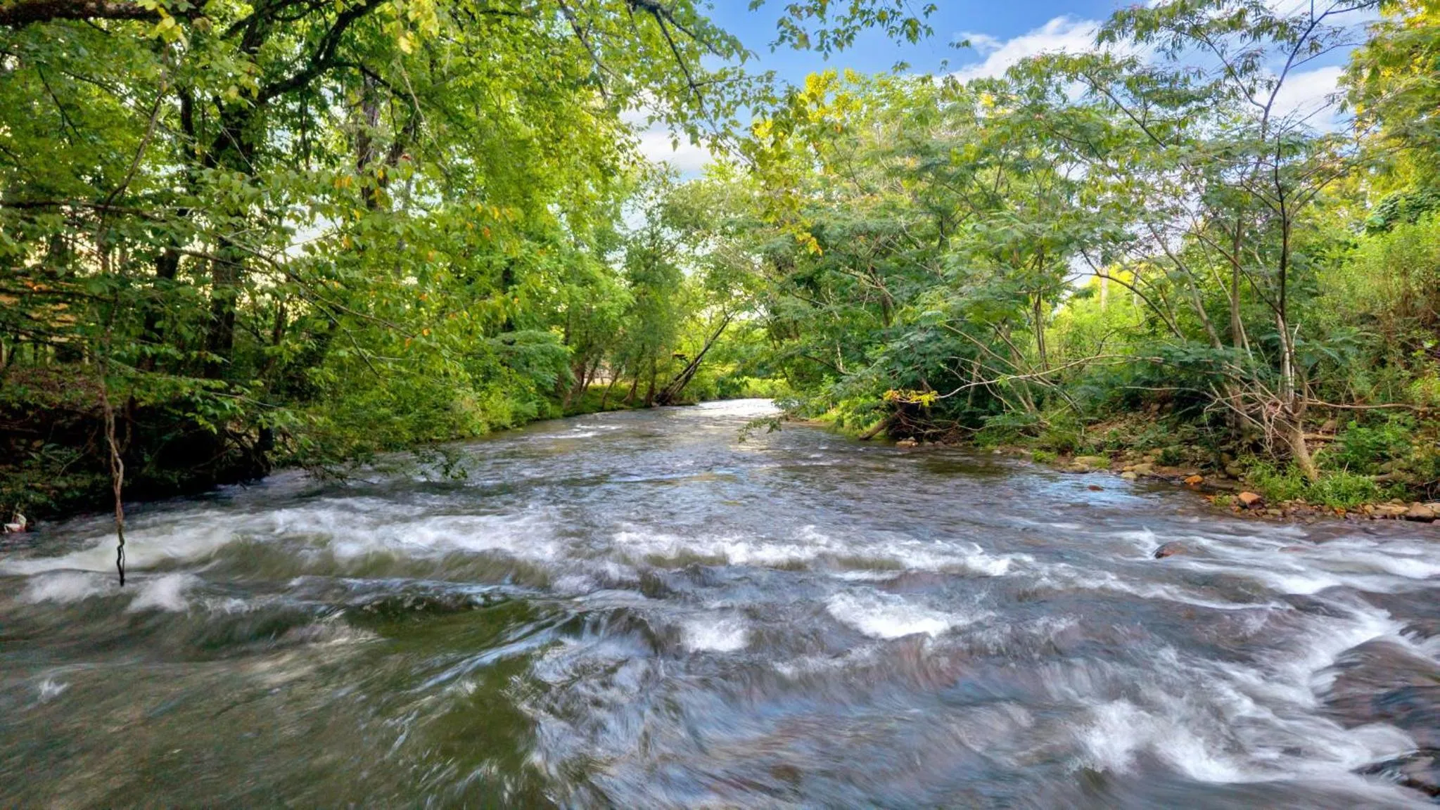 Creekwalk Inn Bed and Breakfast with Cabins