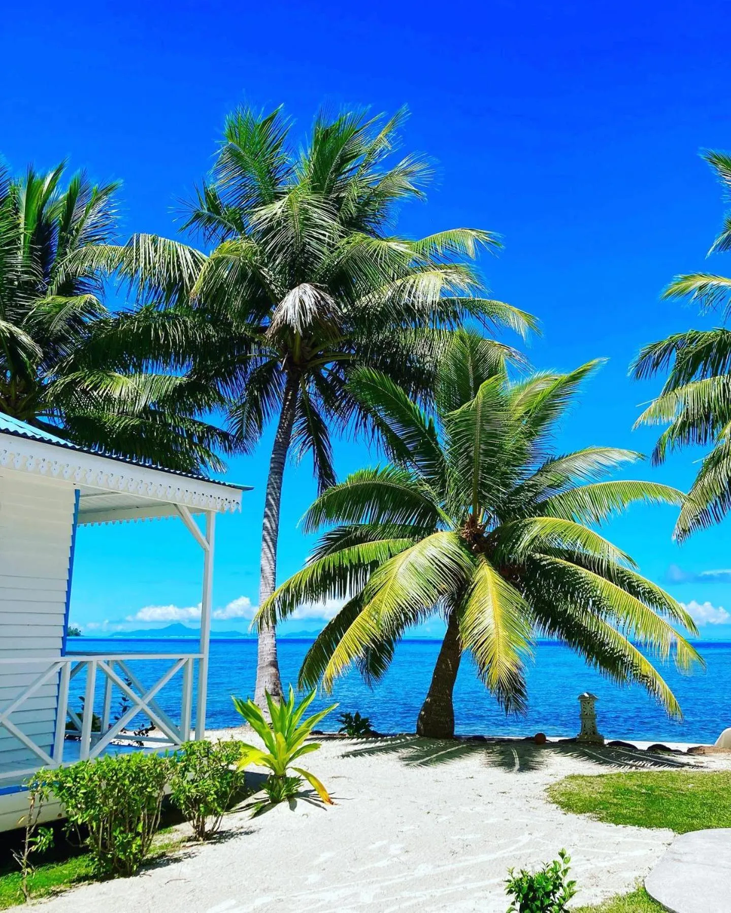 Sea view in Opoa Beach Hotel