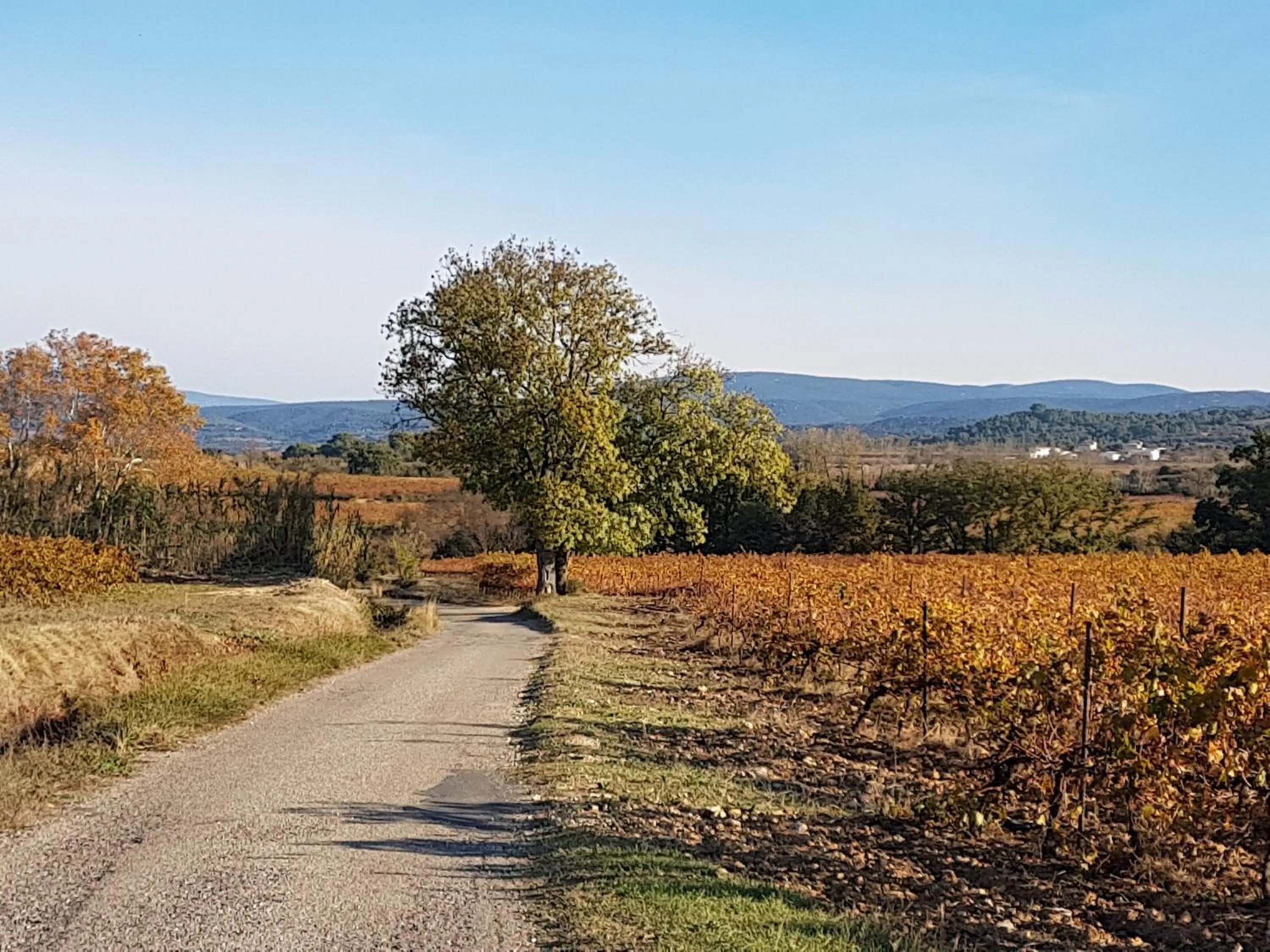 Natural landscape in A la maison de Sophie