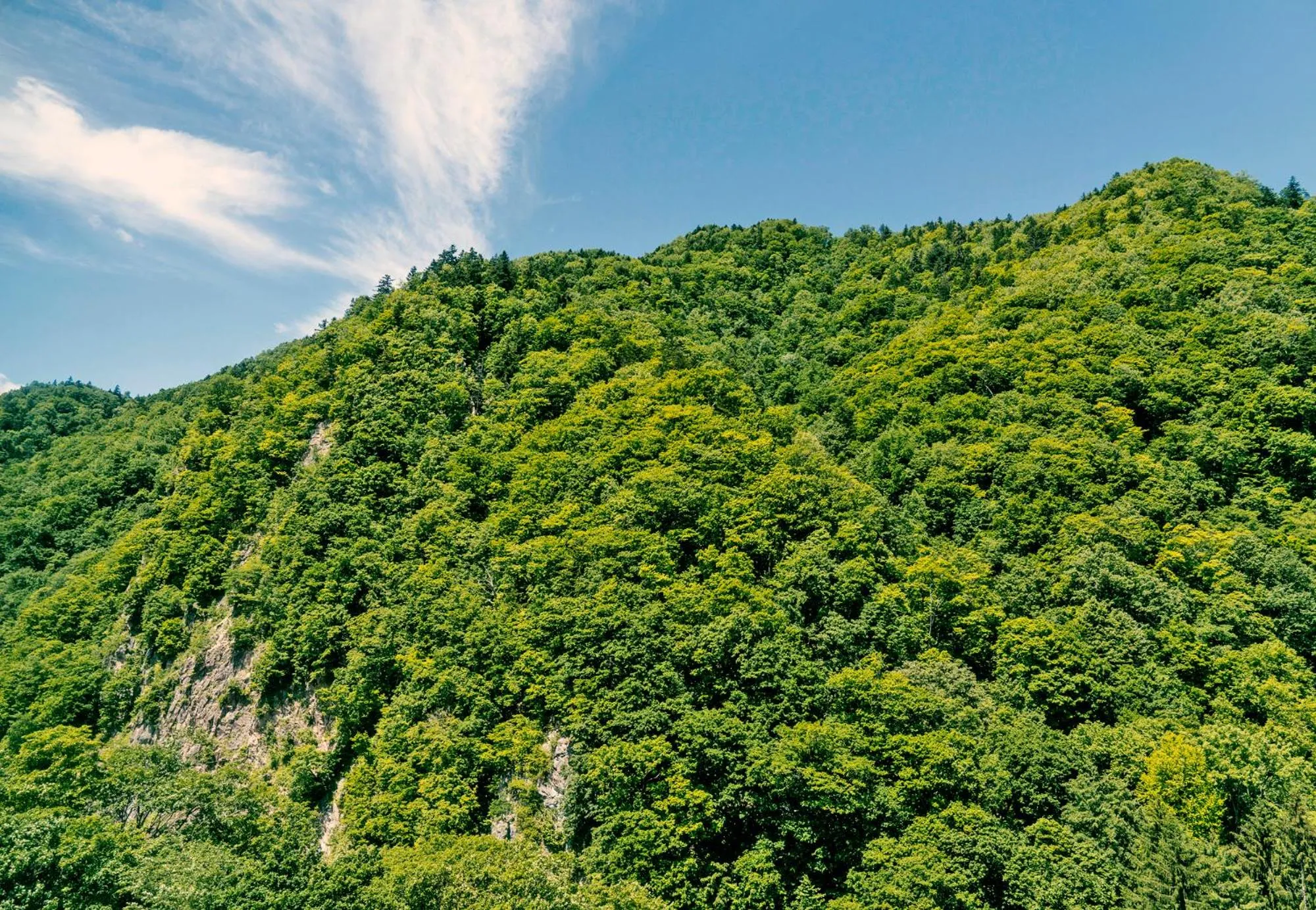 Natural landscape in Grand Blissen Hotel Jozankei