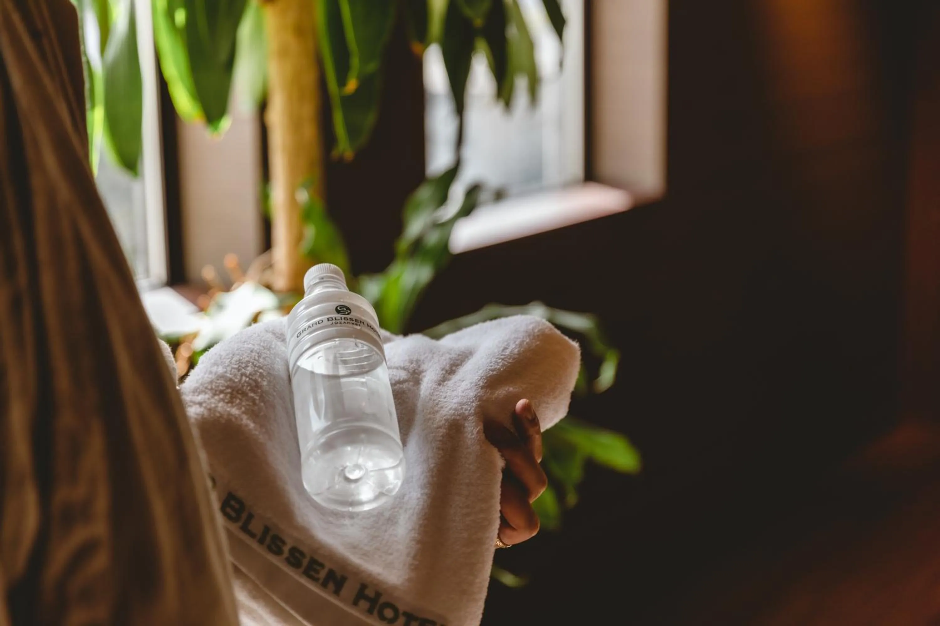 Other in Grand Blissen Hotel Jozankei