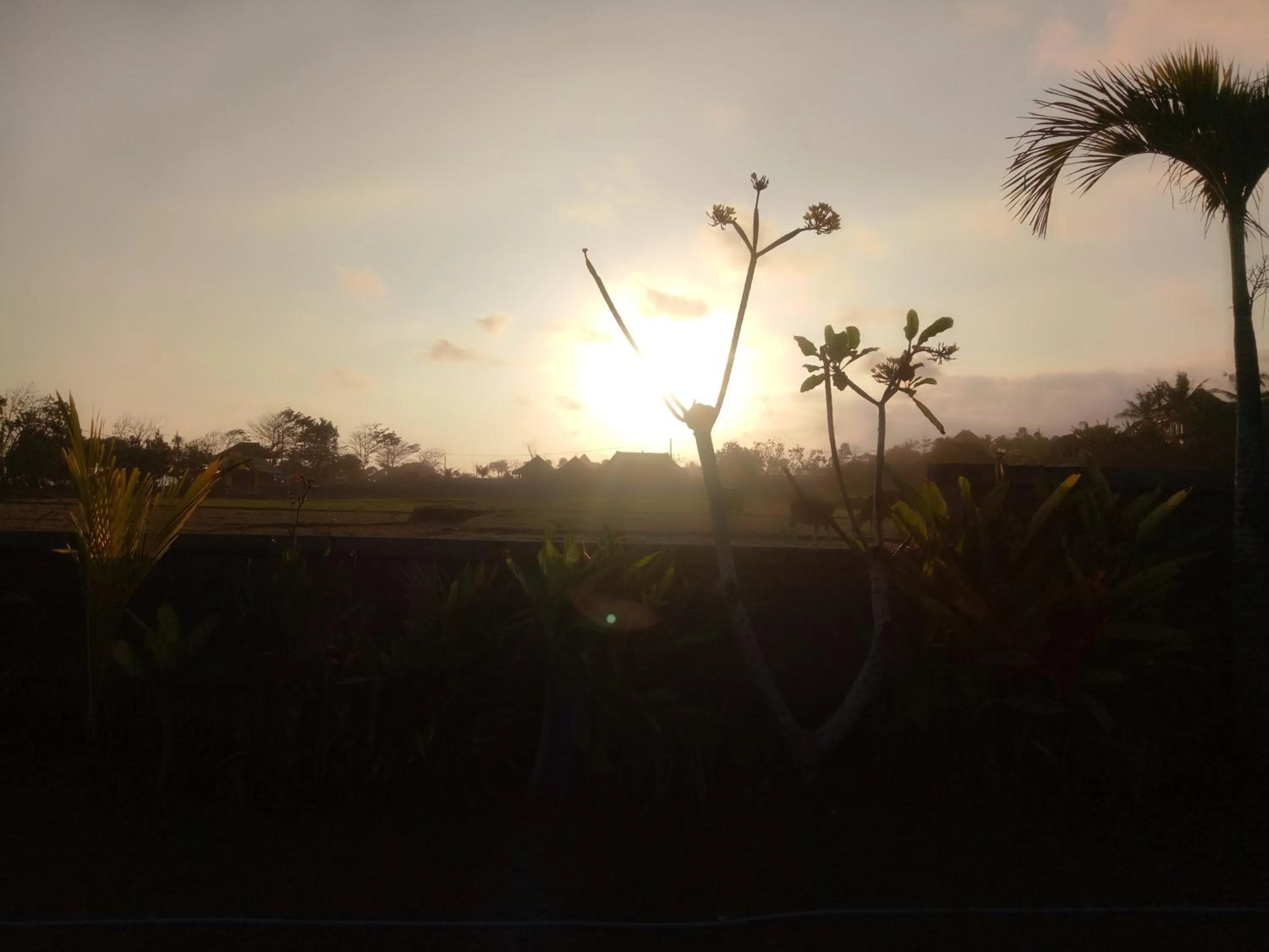 Natural landscape in Emir Surfcamp