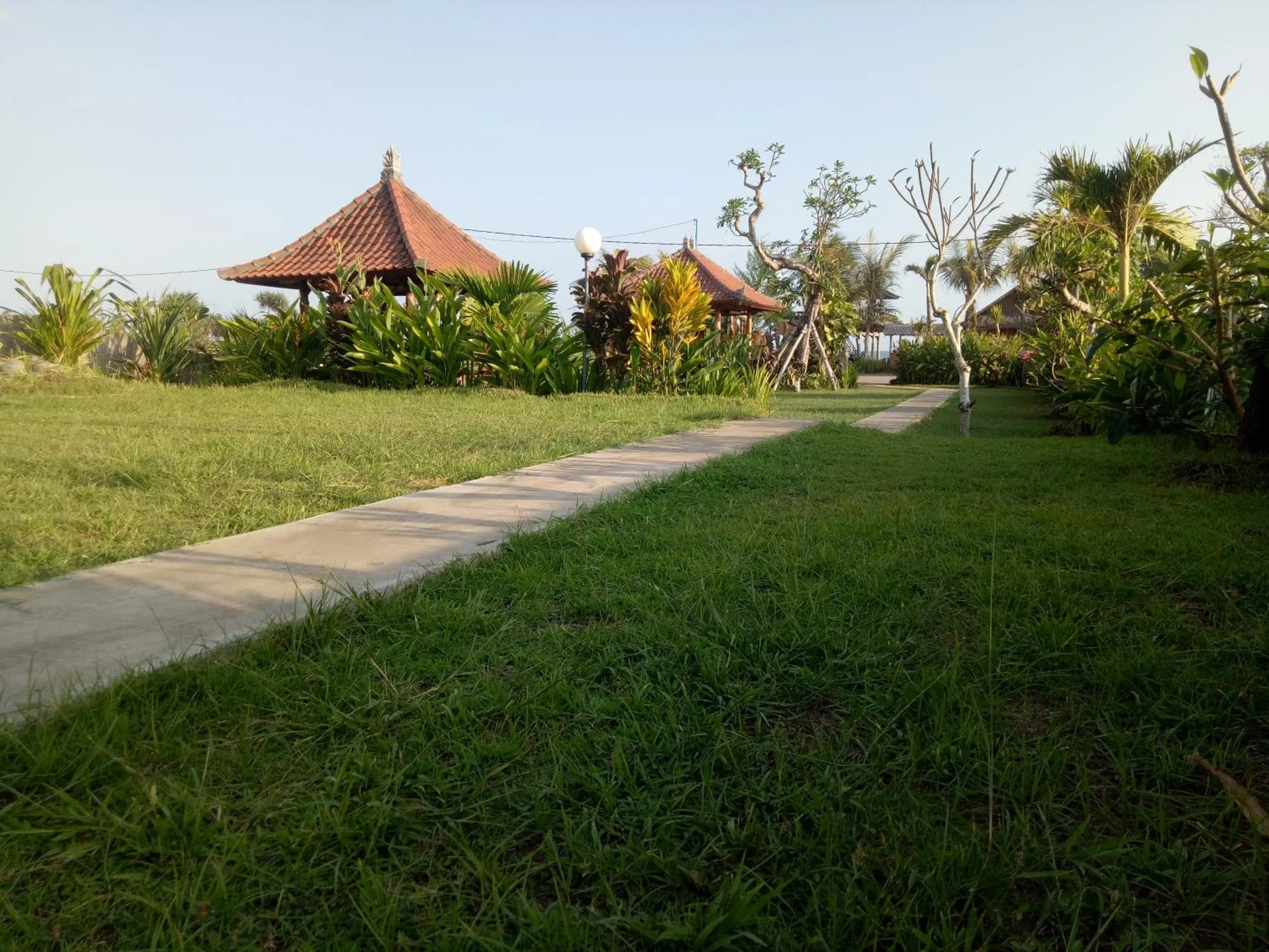 Garden in Emir Surfcamp