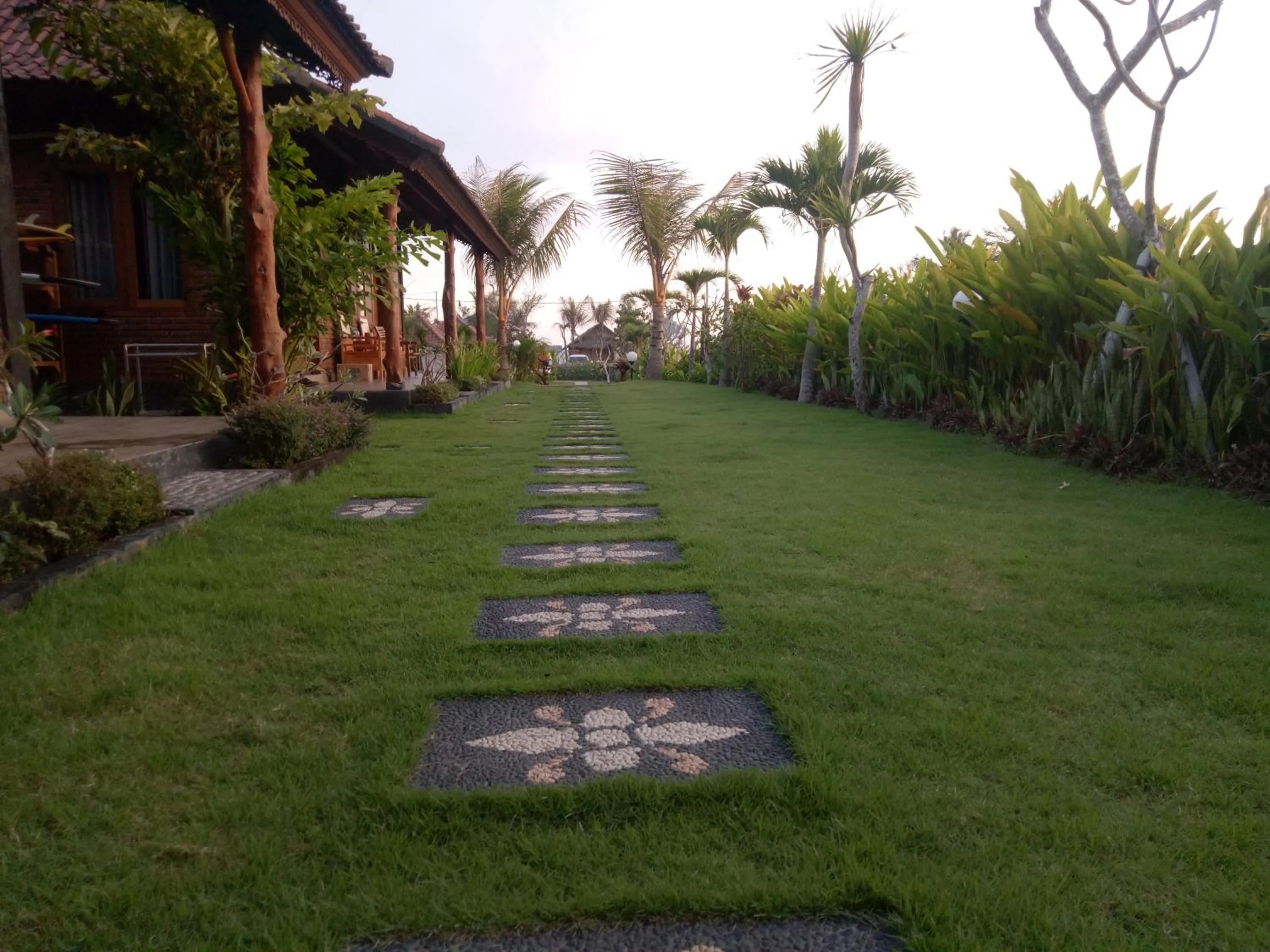 Garden in Emir Surfcamp