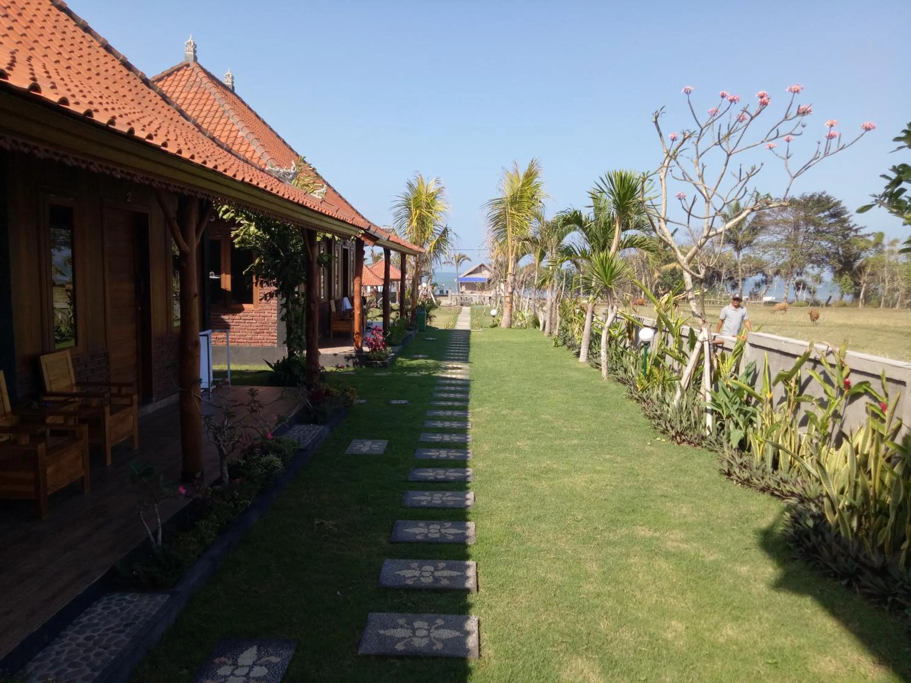 Property building in Emir Surfcamp