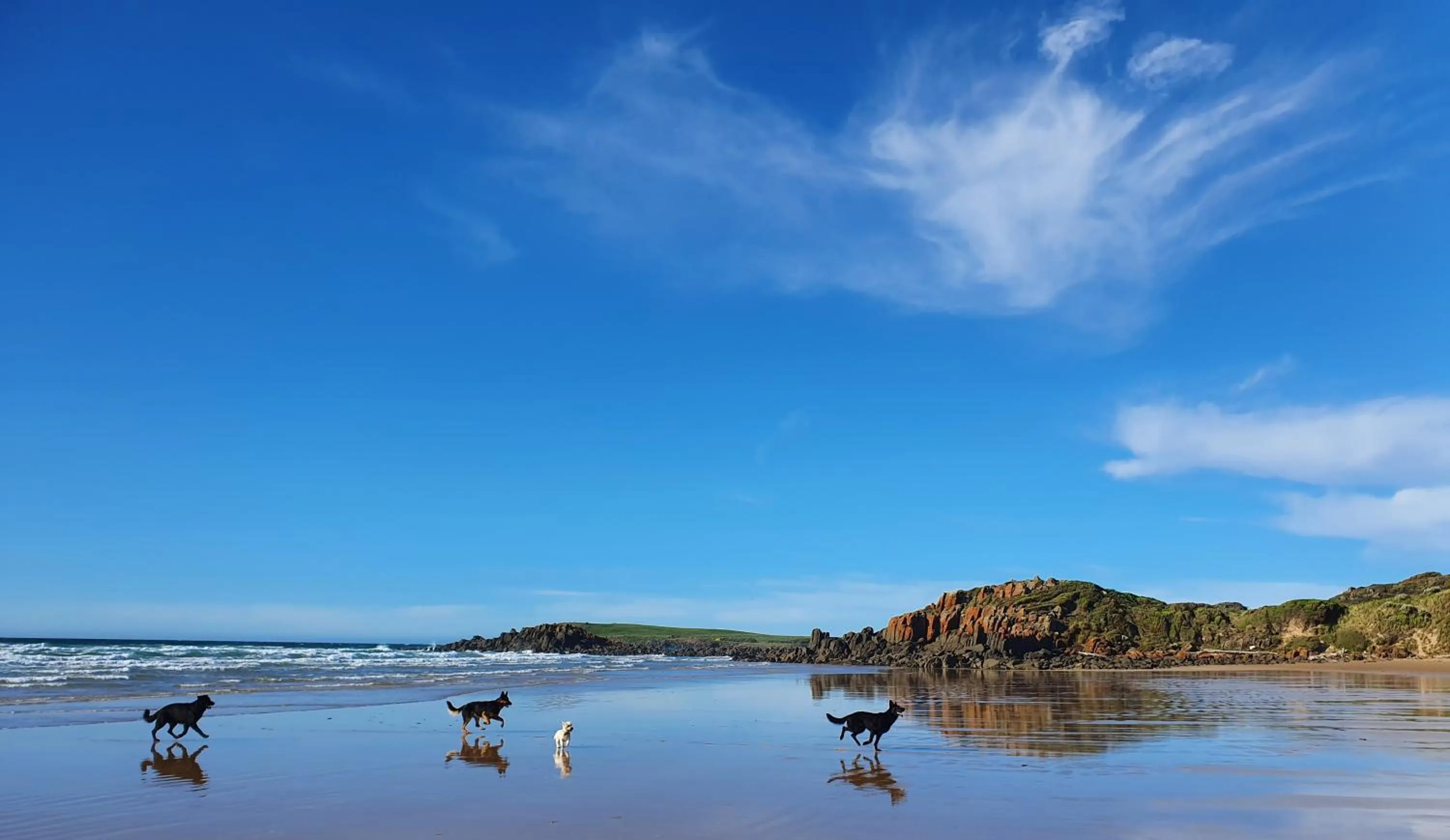 Natural landscape in Hawley House