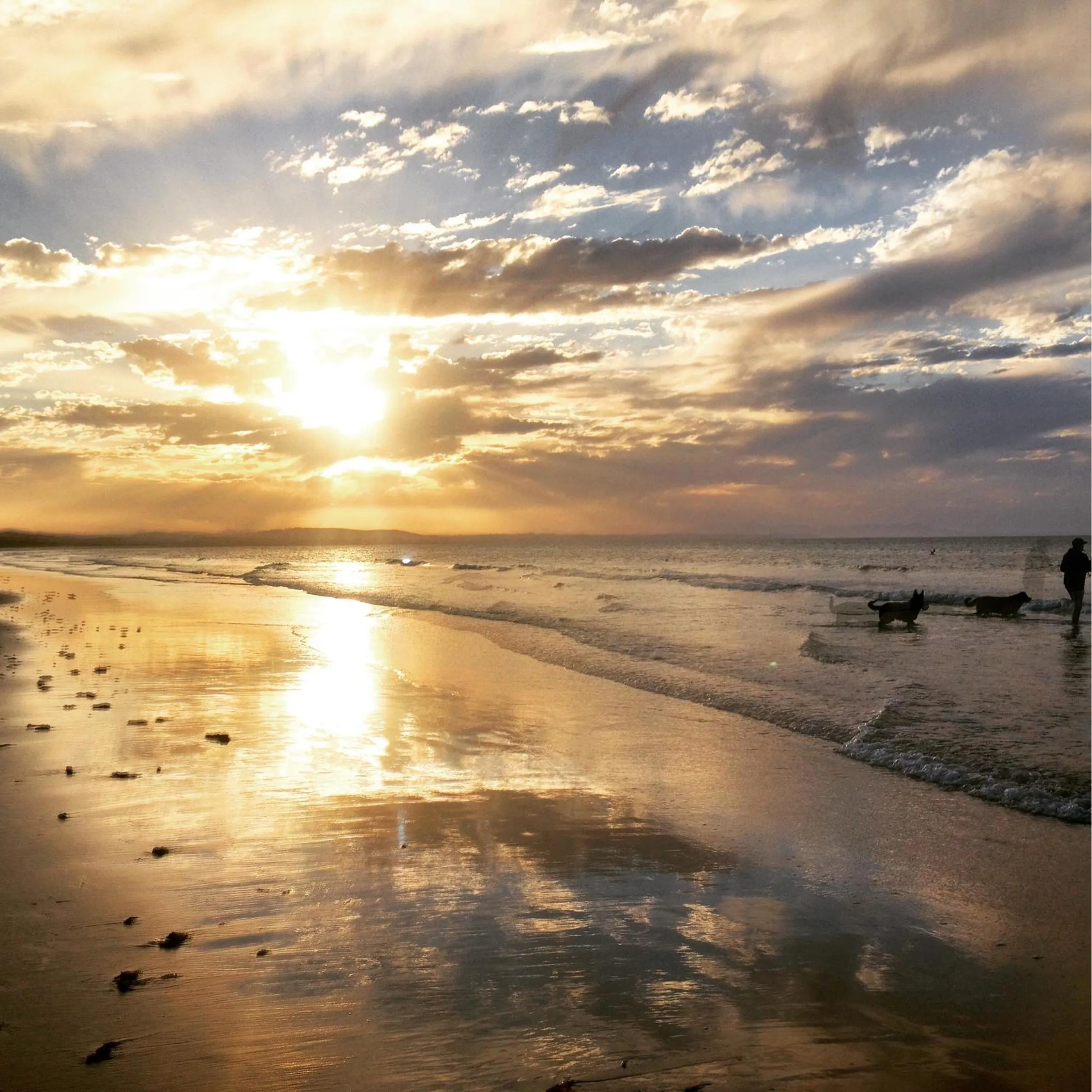 Beach in Hawley House