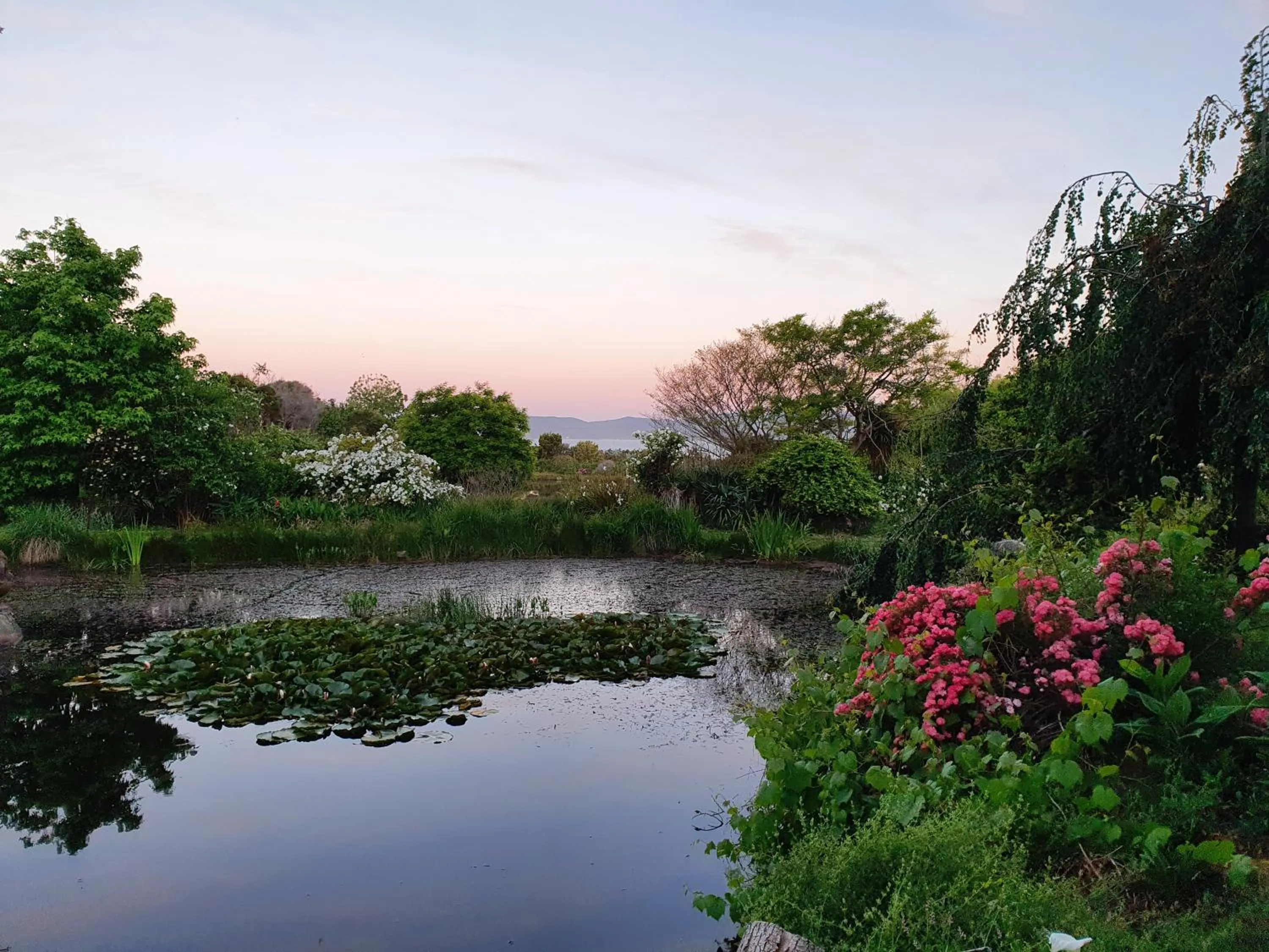 Garden view in Hawley House