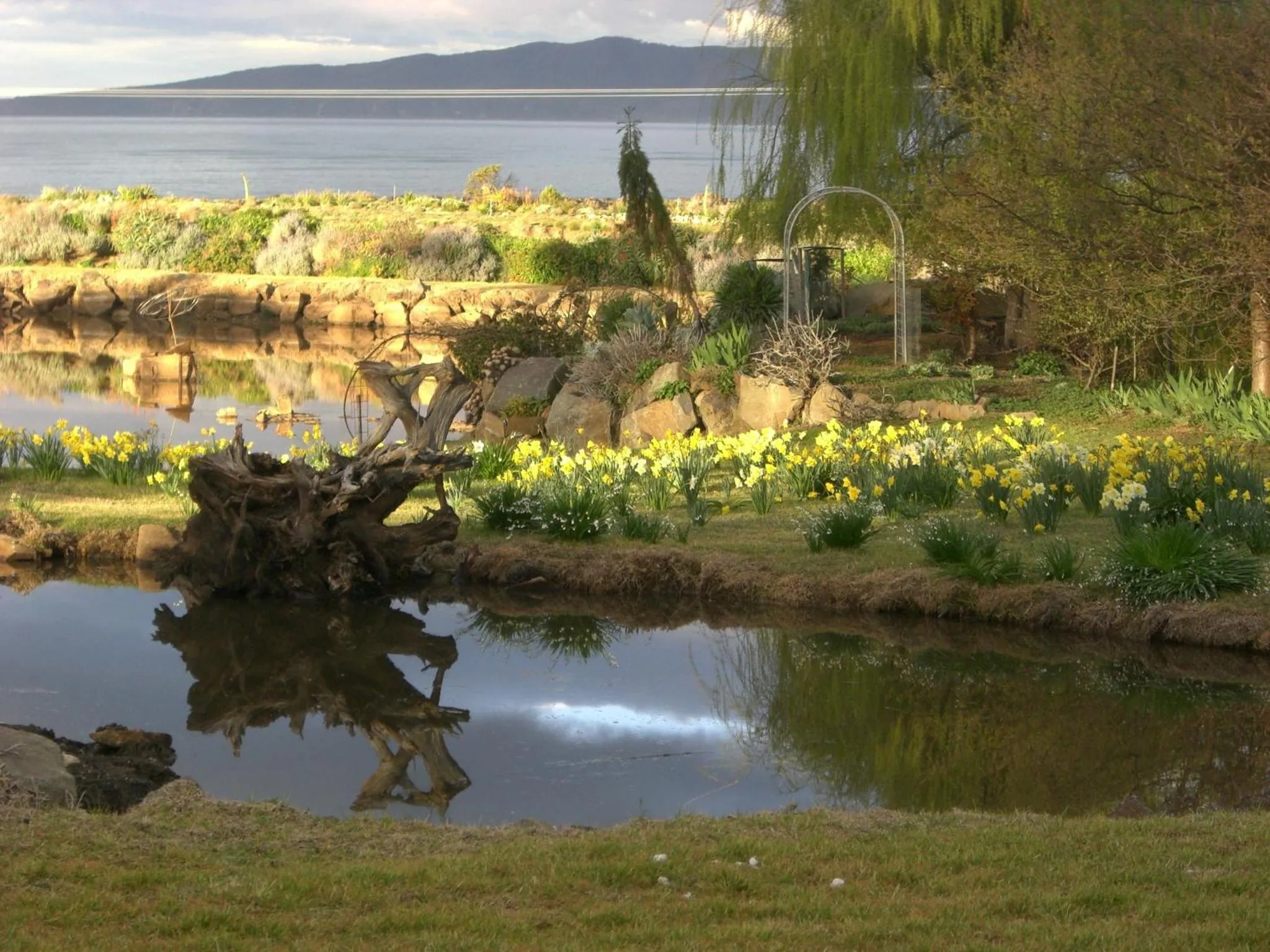 Garden in Hawley House