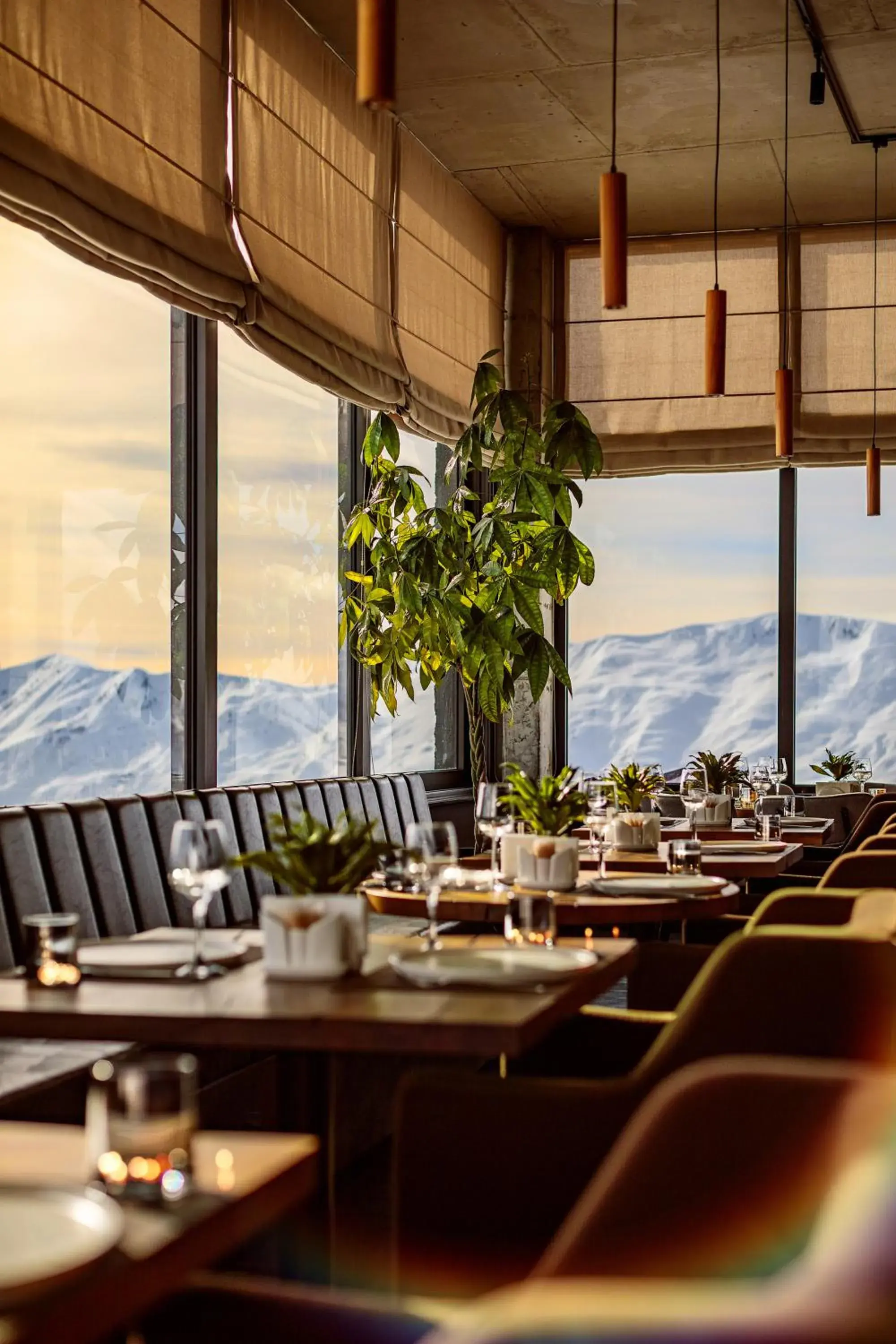 Restaurant/places to eat in Hotel Carpe Diem Gudauri Restaurant/places to eat in Hotel Carpe Diem Gudauri