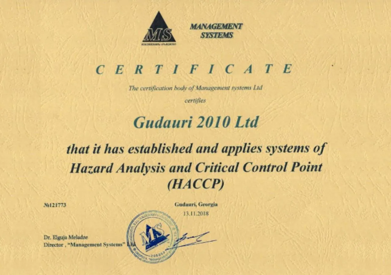 Certificate/Award in Hotel Carpe Diem Gudauri