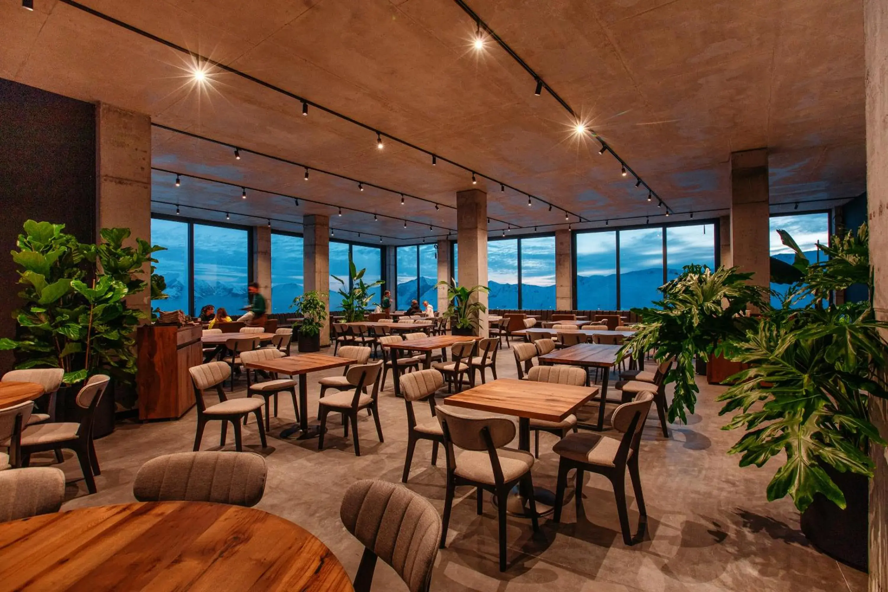 Restaurant/places to eat in Hotel Carpe Diem Gudauri Restaurant/places to eat in Hotel Carpe Diem Gudauri