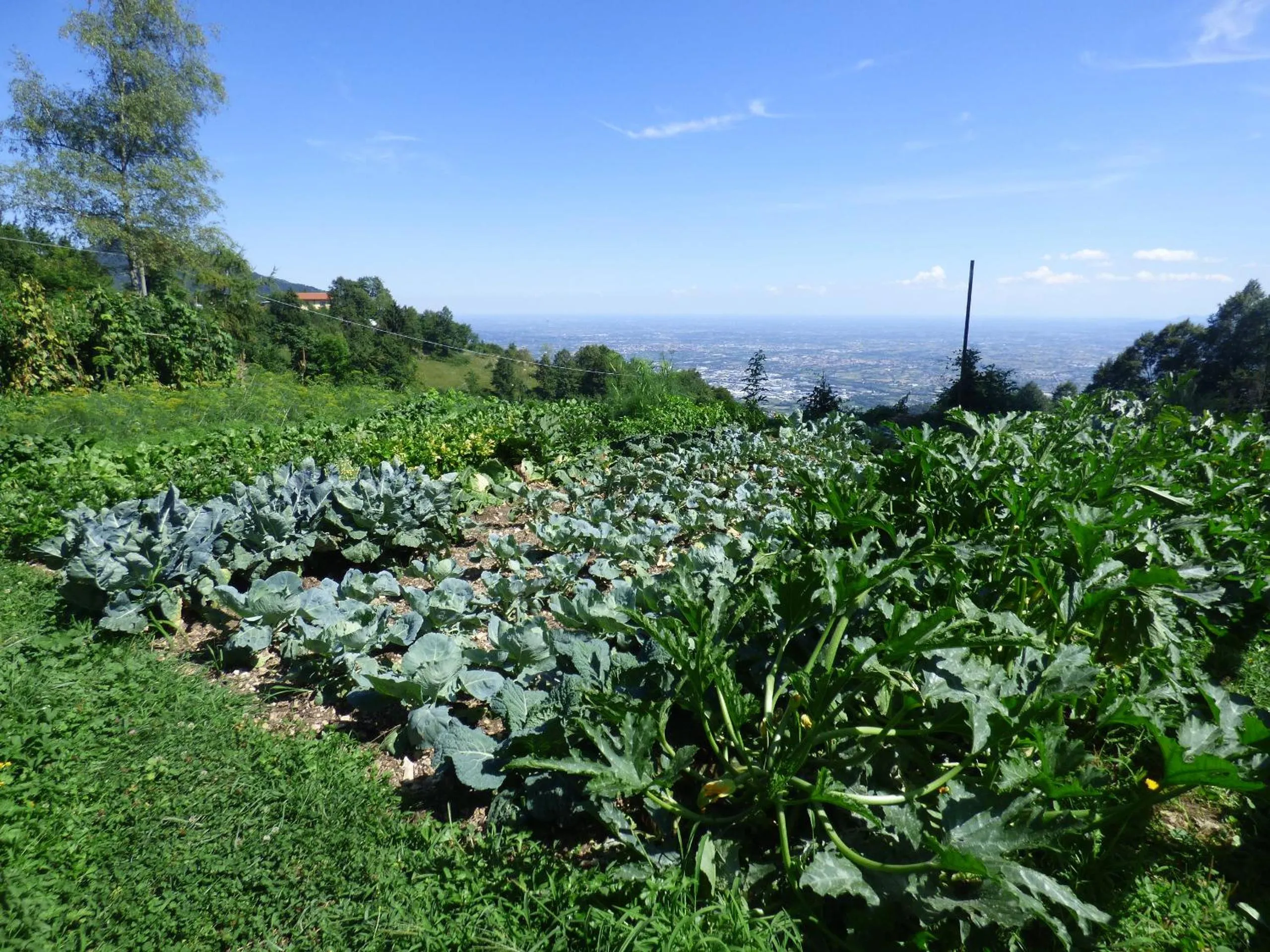Damarco Alloggio Turistico Locanda